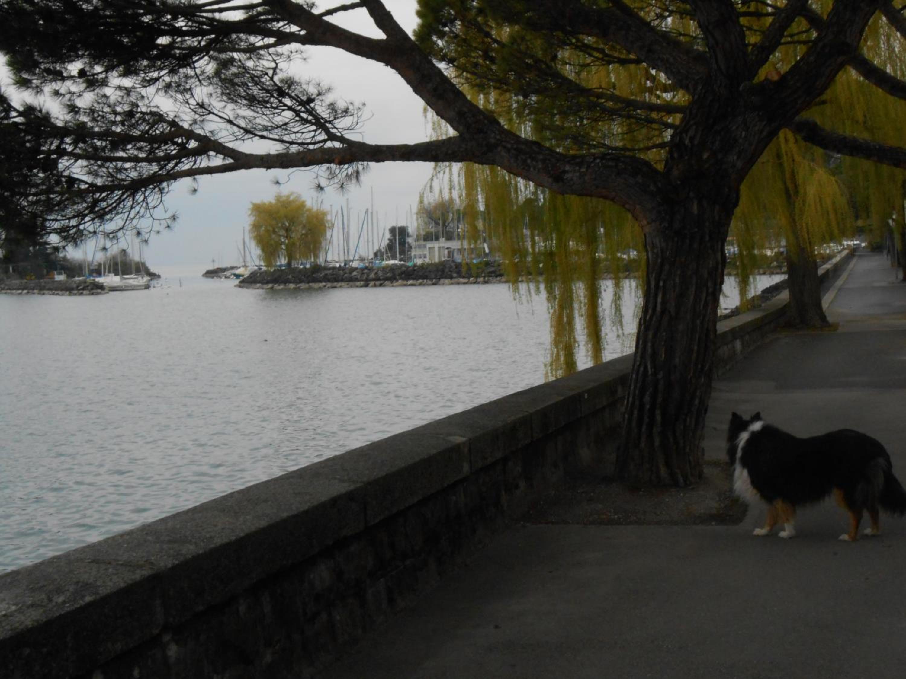Photo 21
