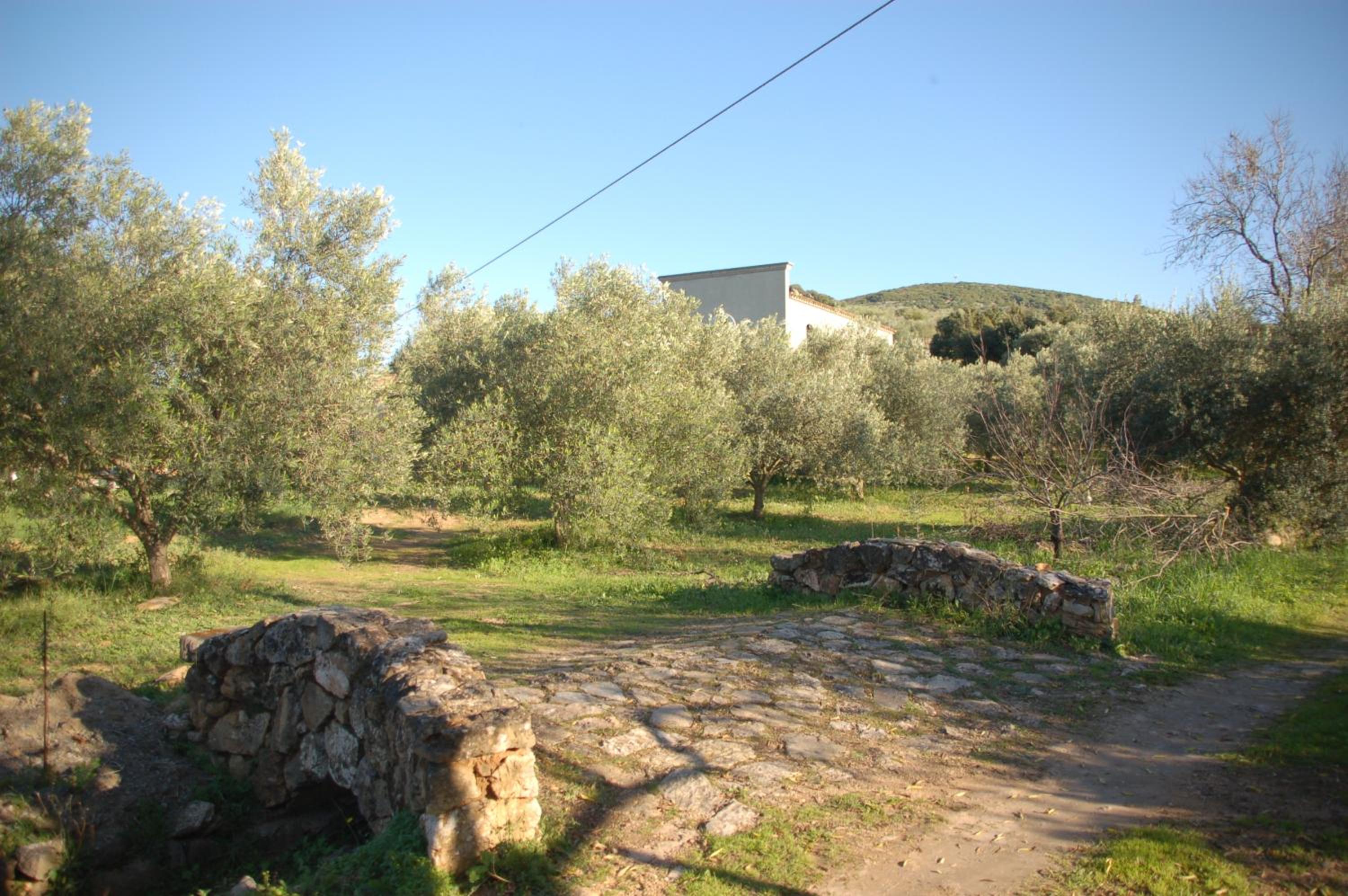 Nuraximannu Boutique B&B