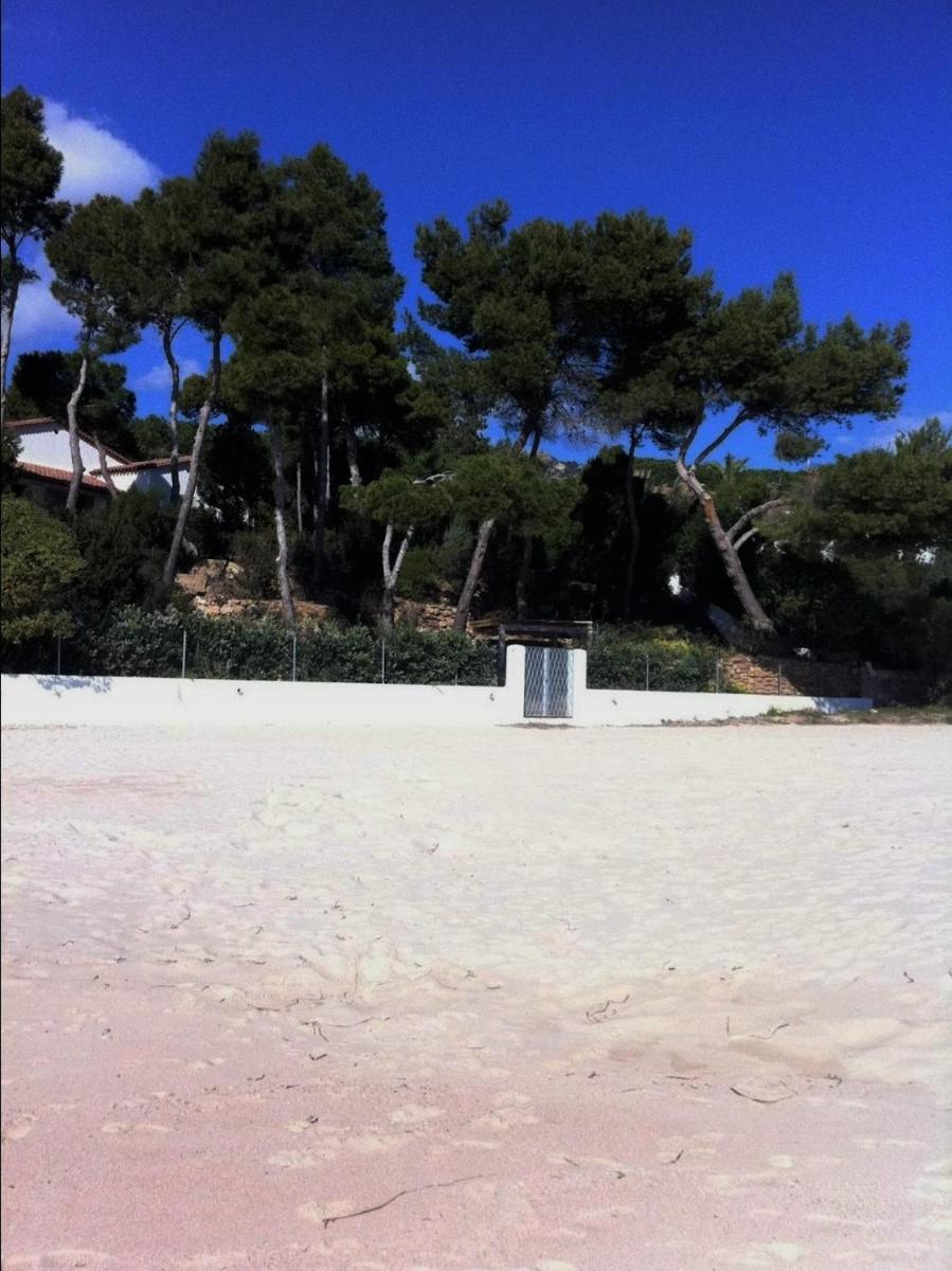 Photo 41