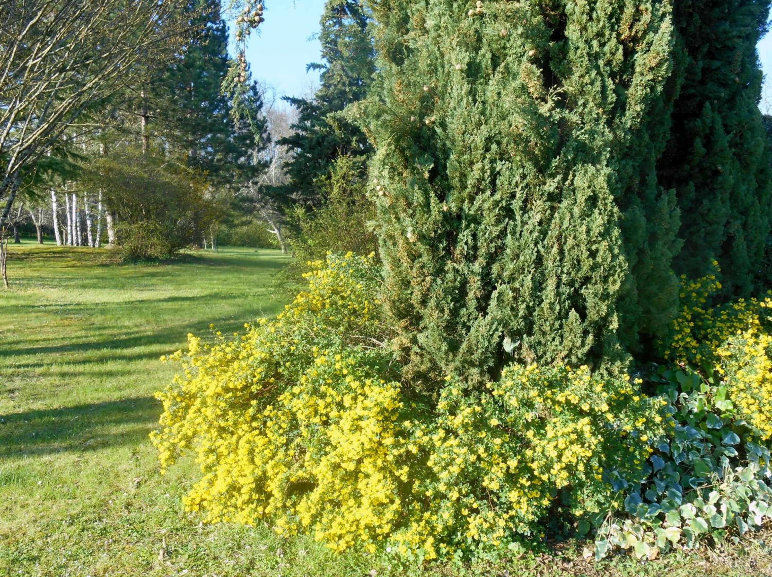 Photo 32
