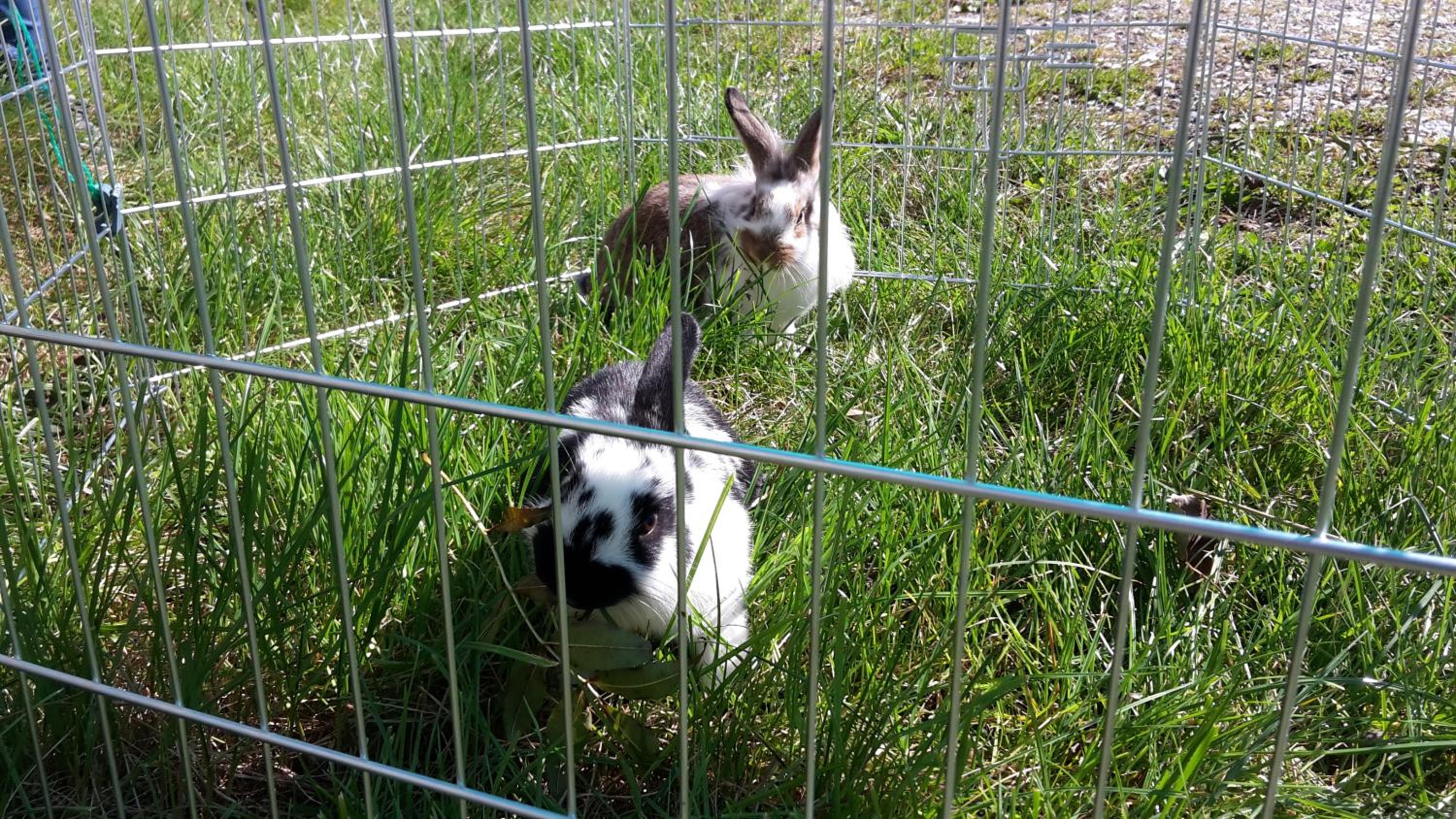 Photo 28