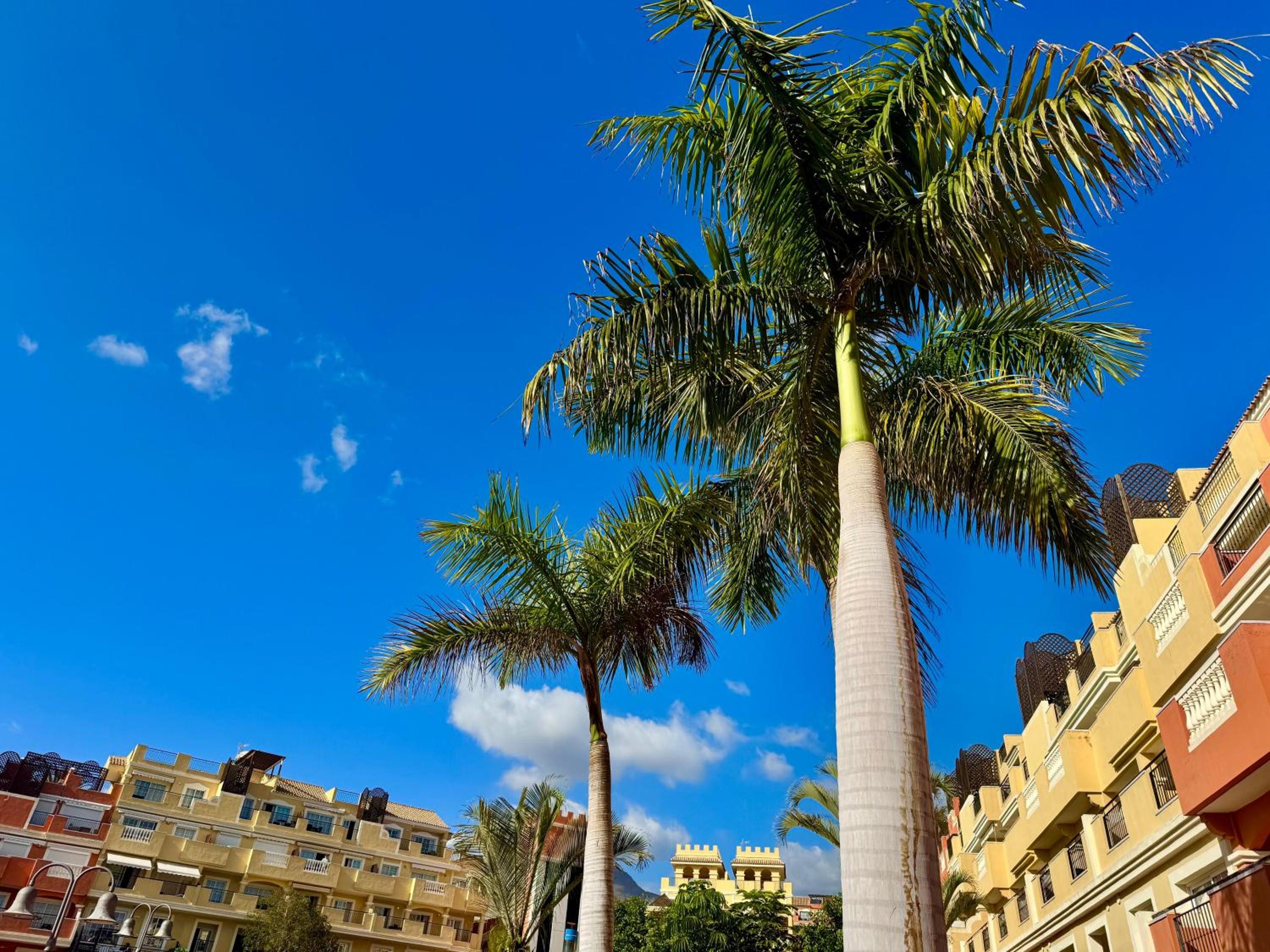 Prime Las Americas Getaway - Apartment with Huge Private Terrace & Pool Access