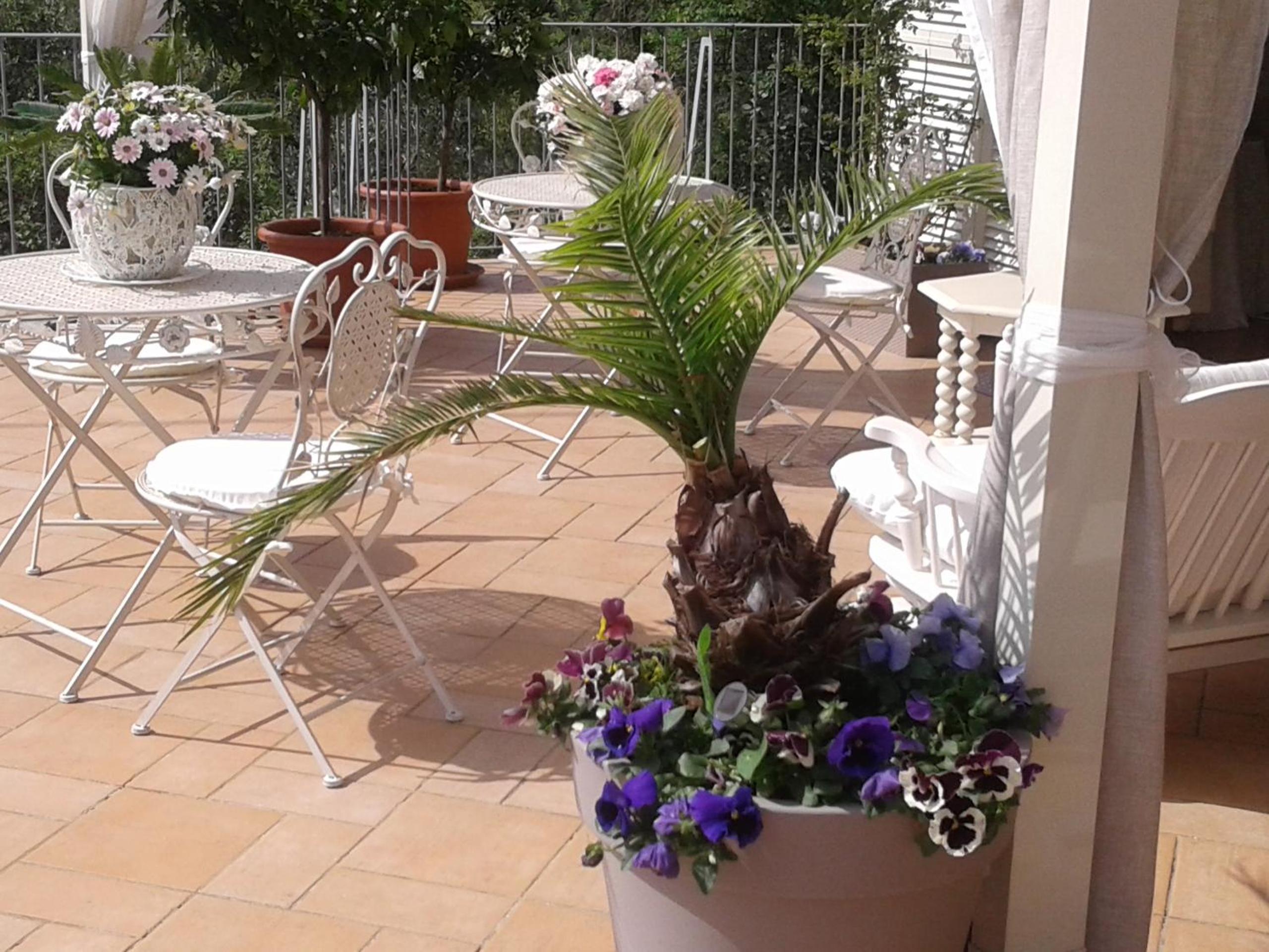 Dreams Guest House