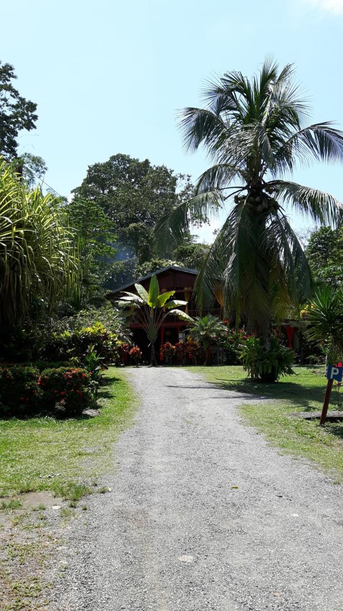 children's play area