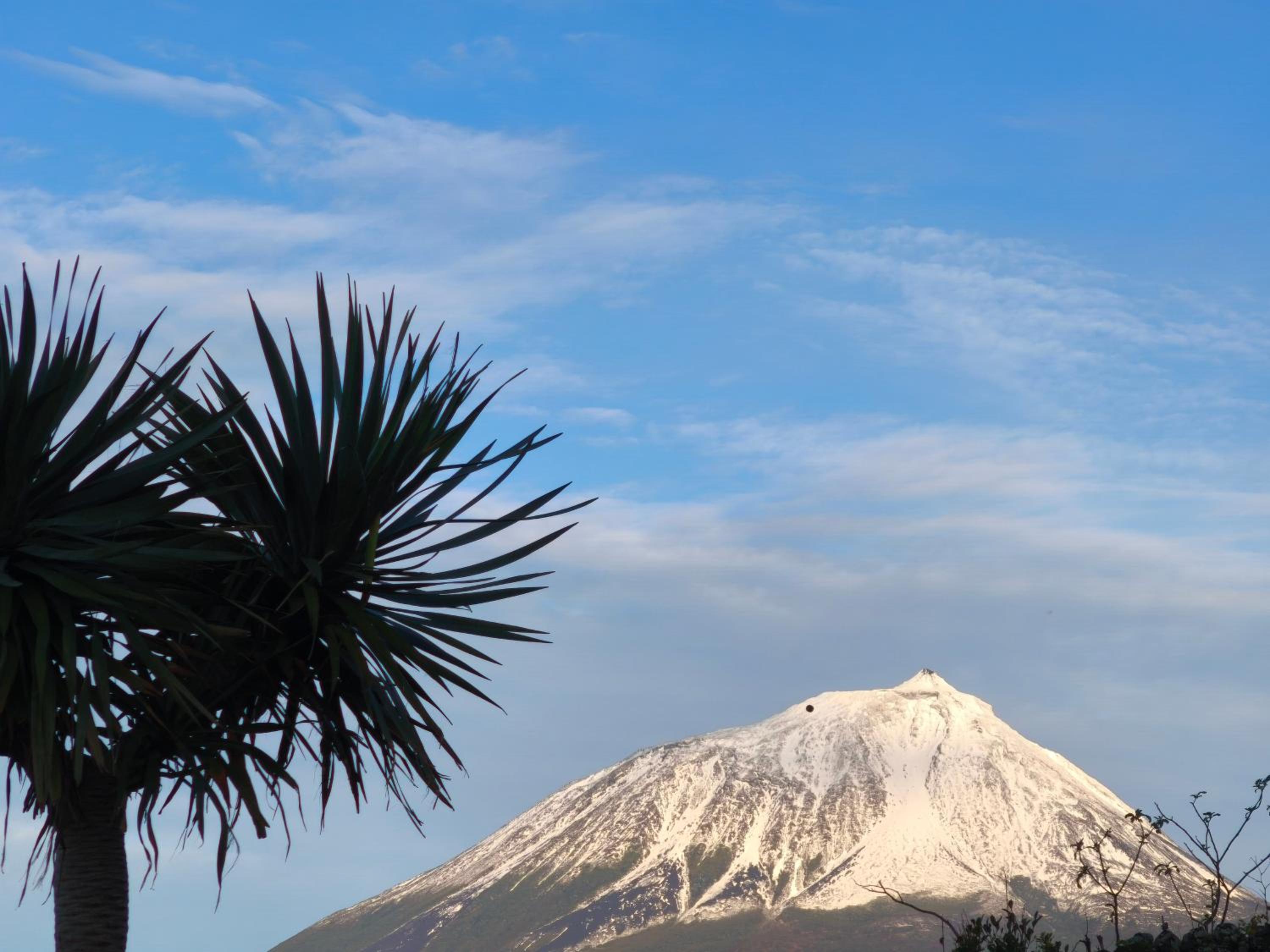 Villa Belle Azores AL
