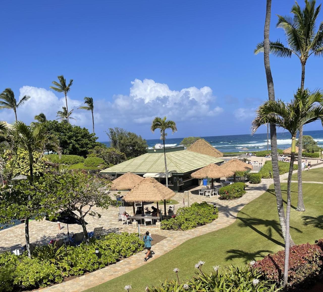 East Shore Beachfront Resort, Restaurant, Bar, AC, Spa, Pool & Gym