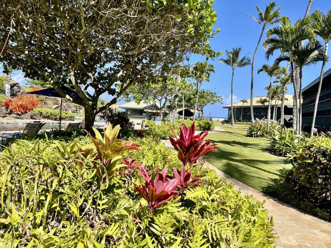 East Shore Beachfront Resort, Restaurant, Bar, AC, Spa, Pool & Gym
