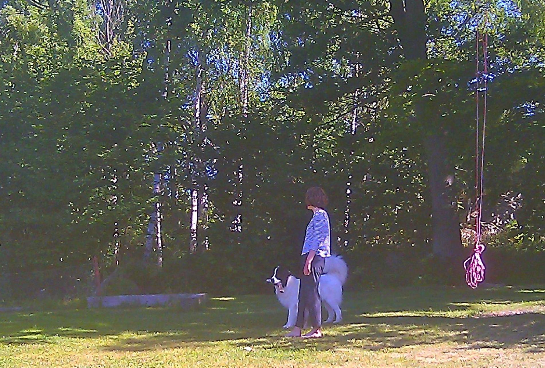 Photo 22