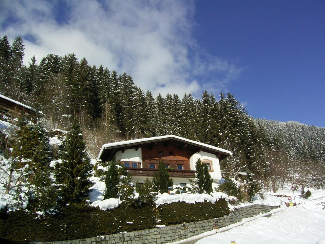 Photo 25
