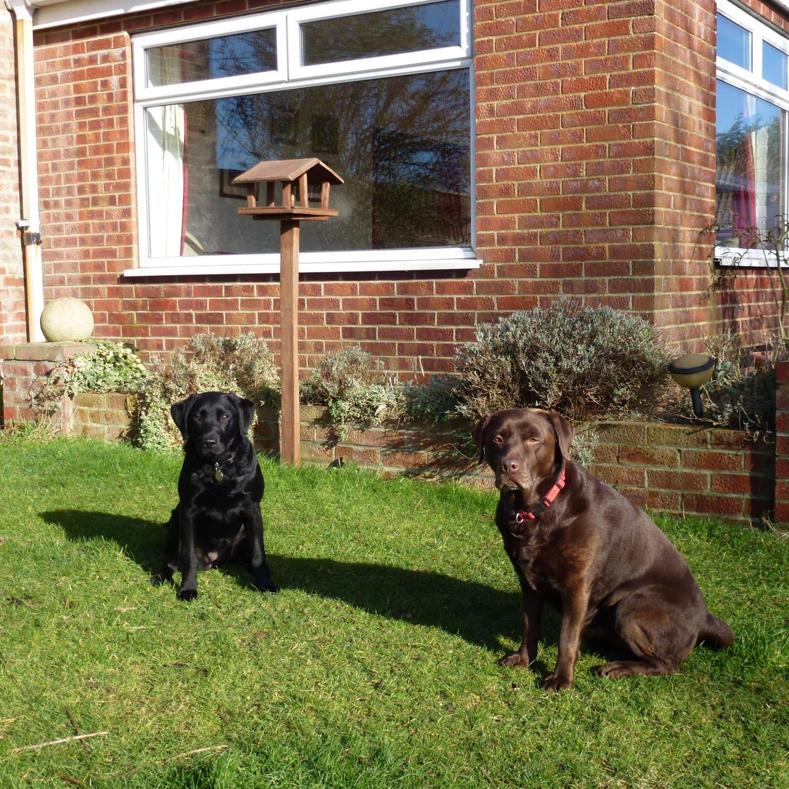 Manor Farm Stay