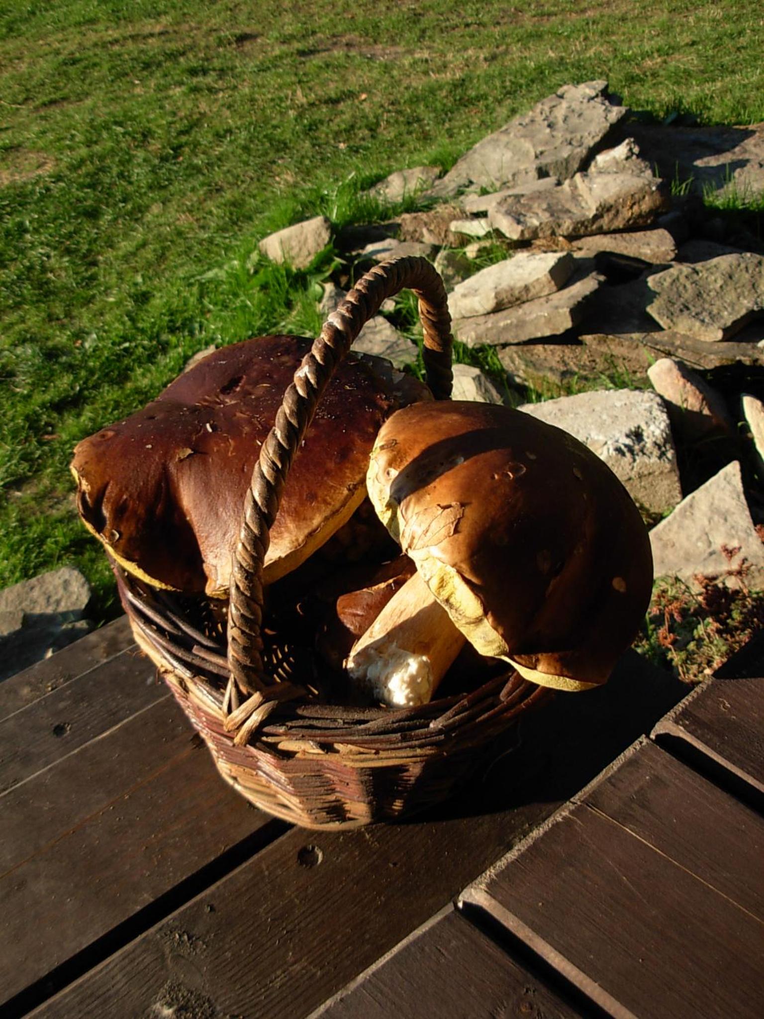Photo 41