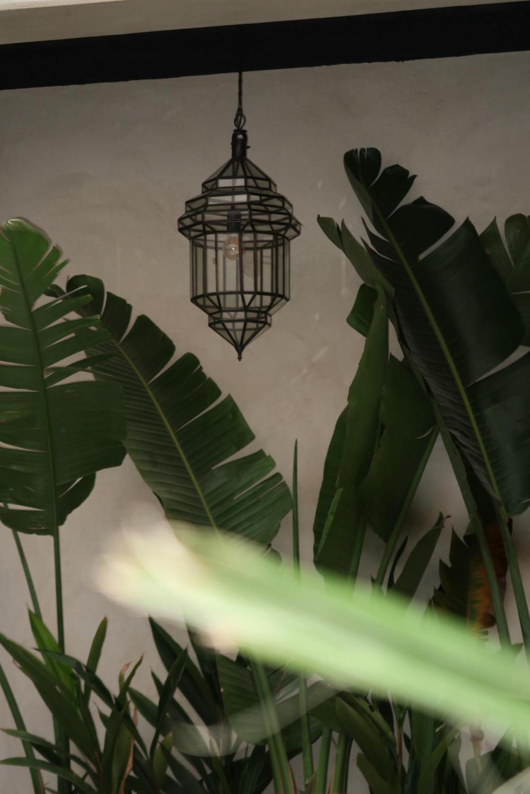 Riad Excellence