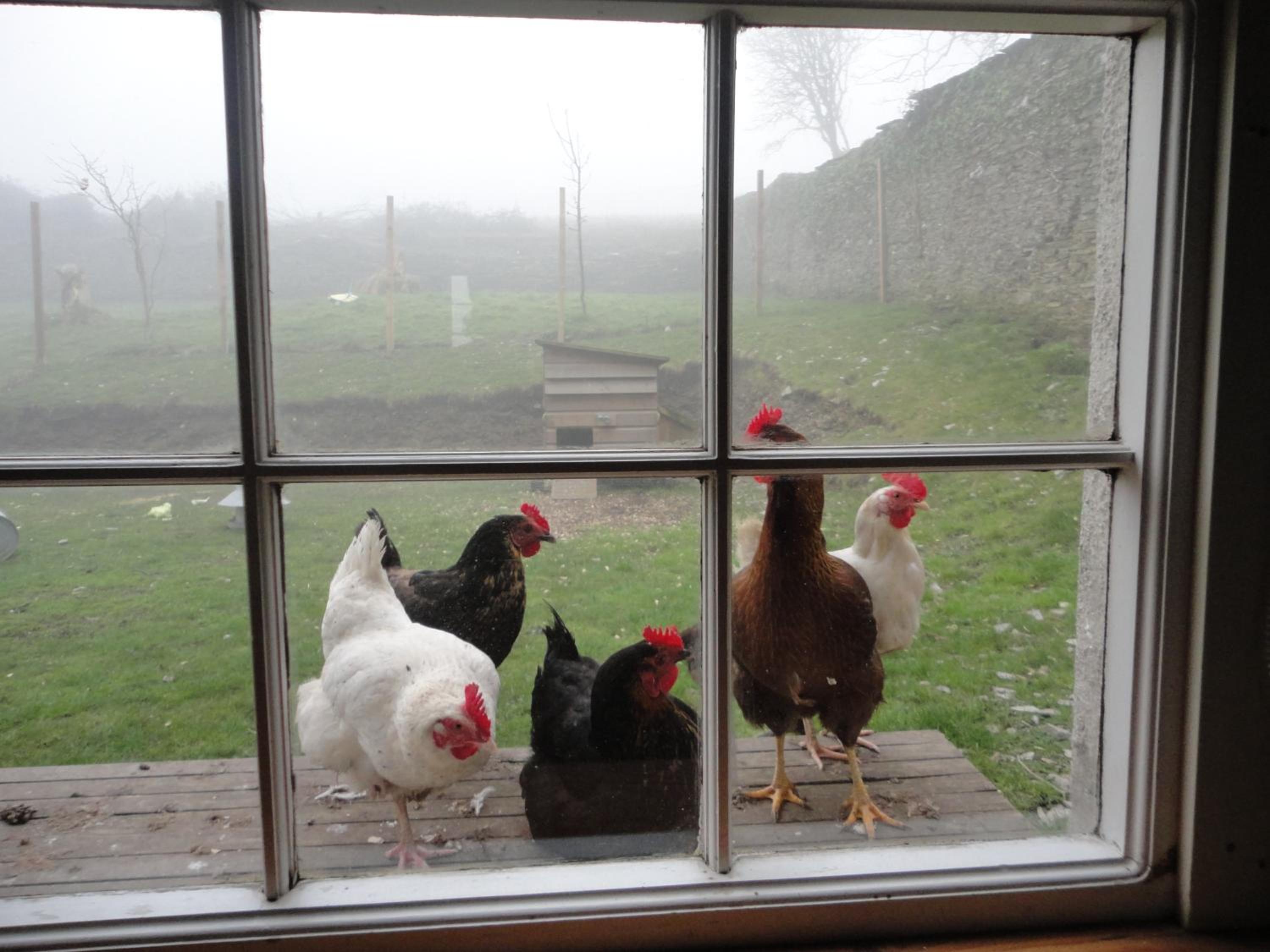 Rame Barton Guest House and Pottery