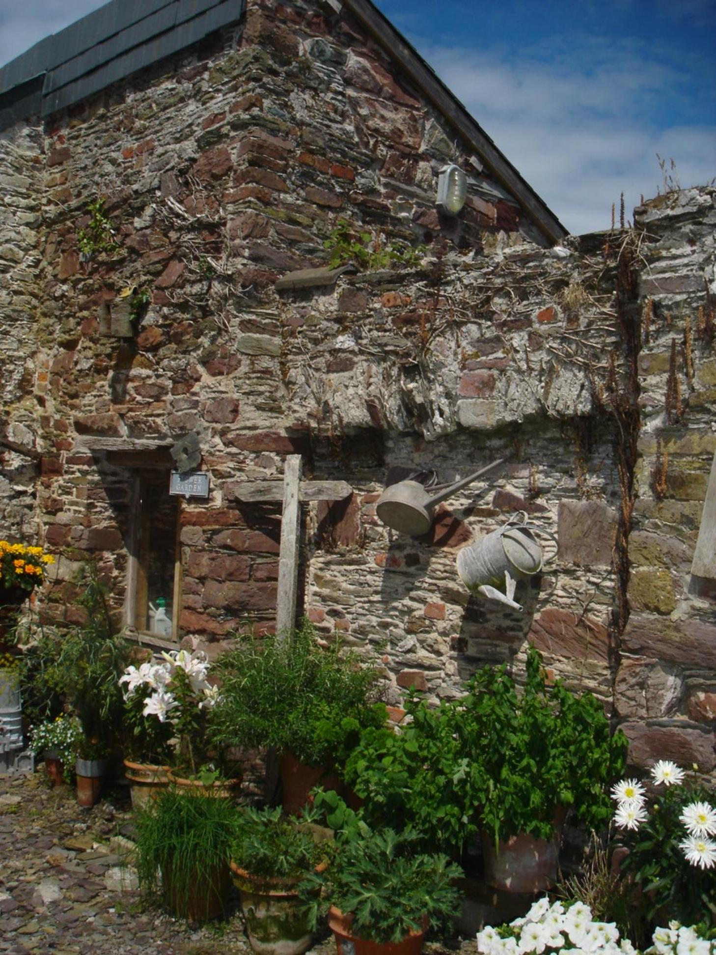 Rame Barton Guest House and Pottery