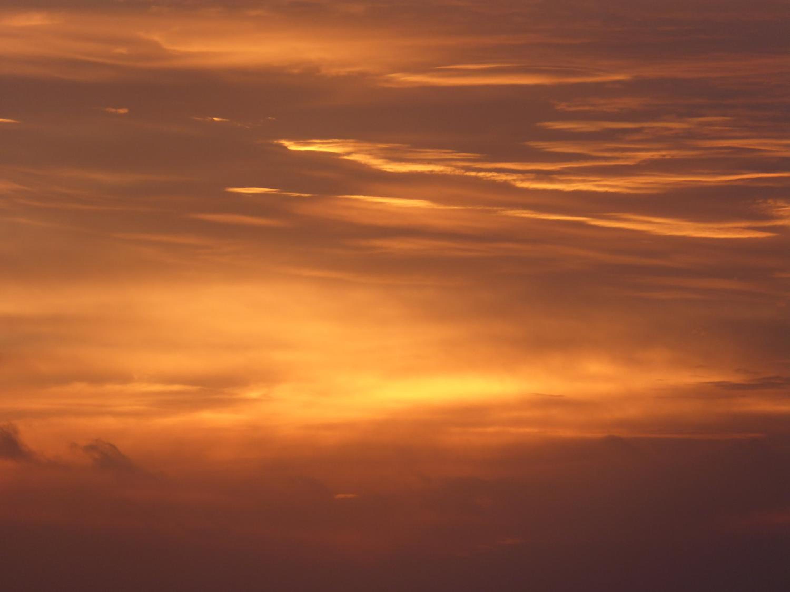 Photo 57