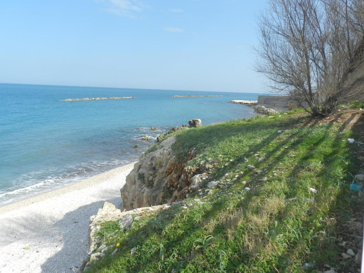 Photo 45