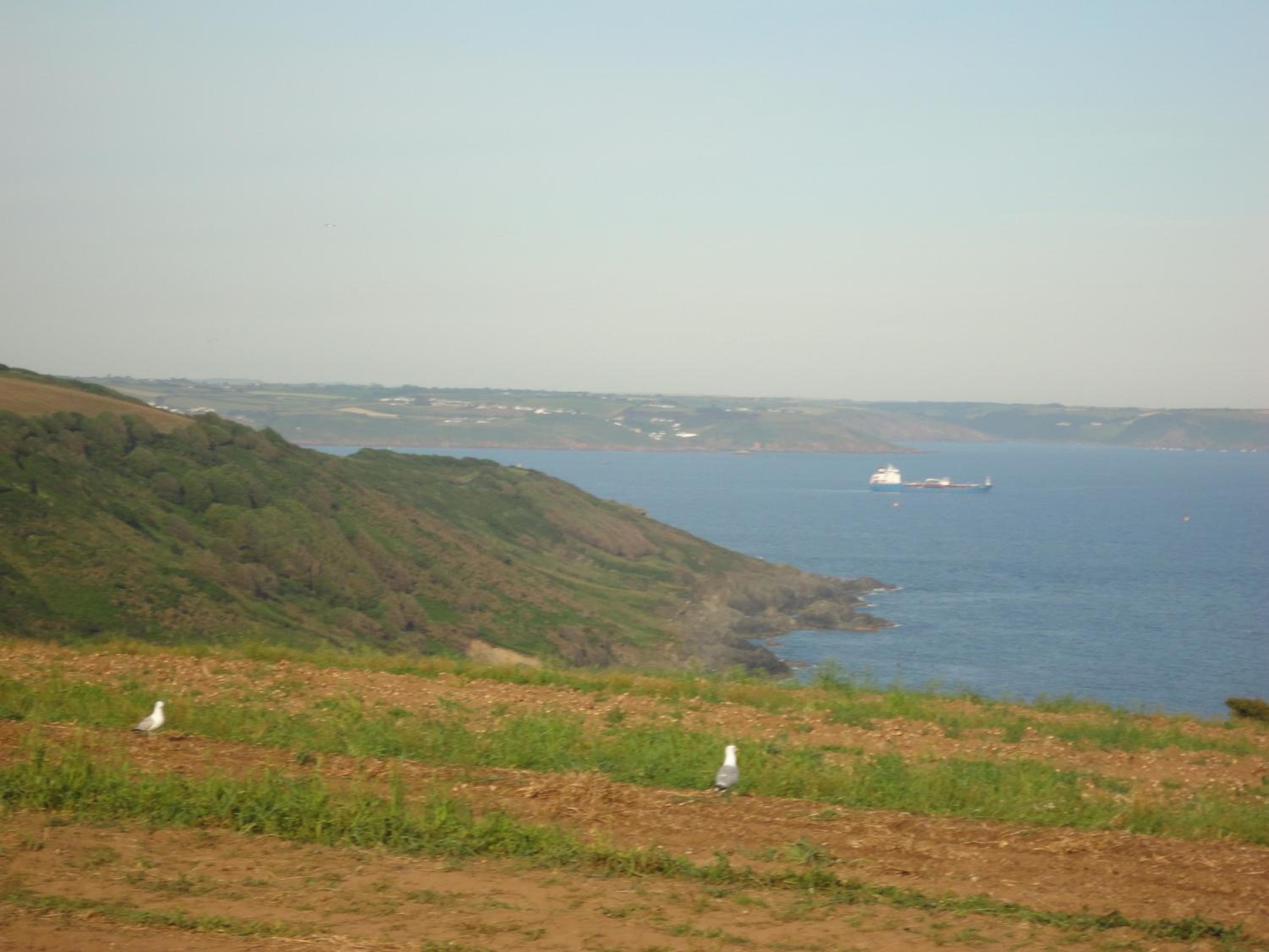 Rame Barton Guest House and Pottery