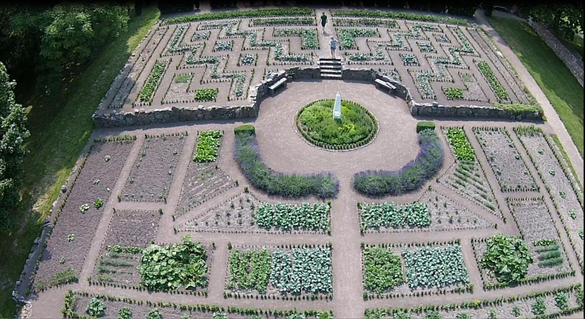 garden