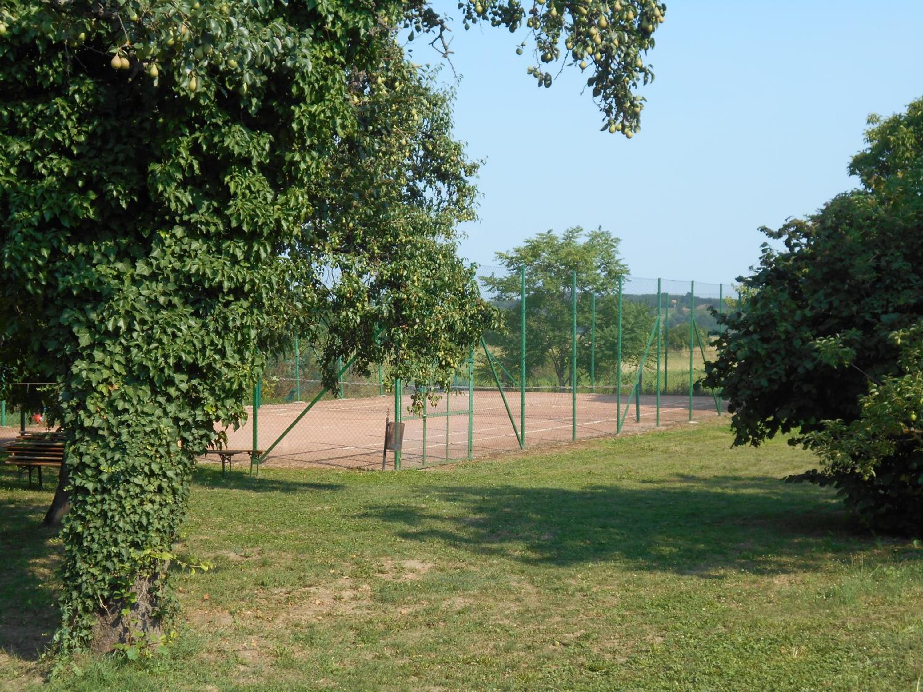 Photo 27