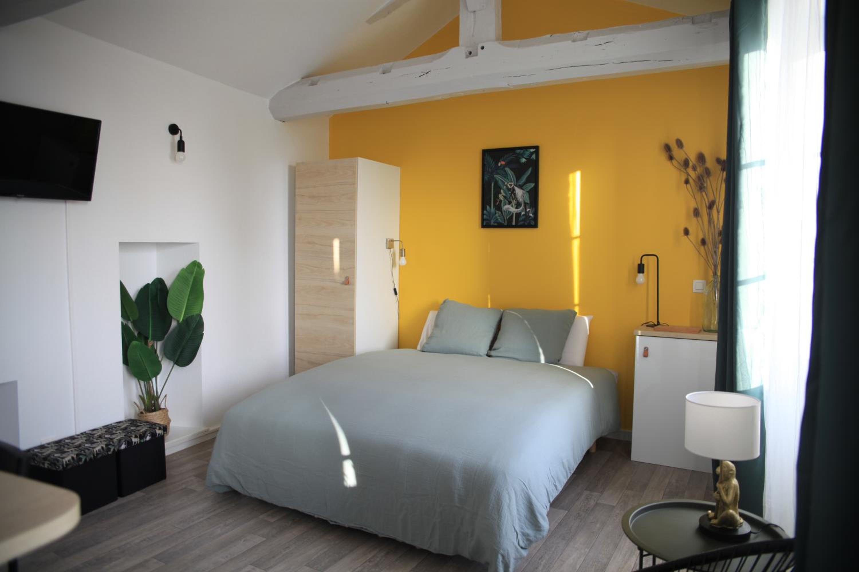 Chez Mary Studio -Jungle