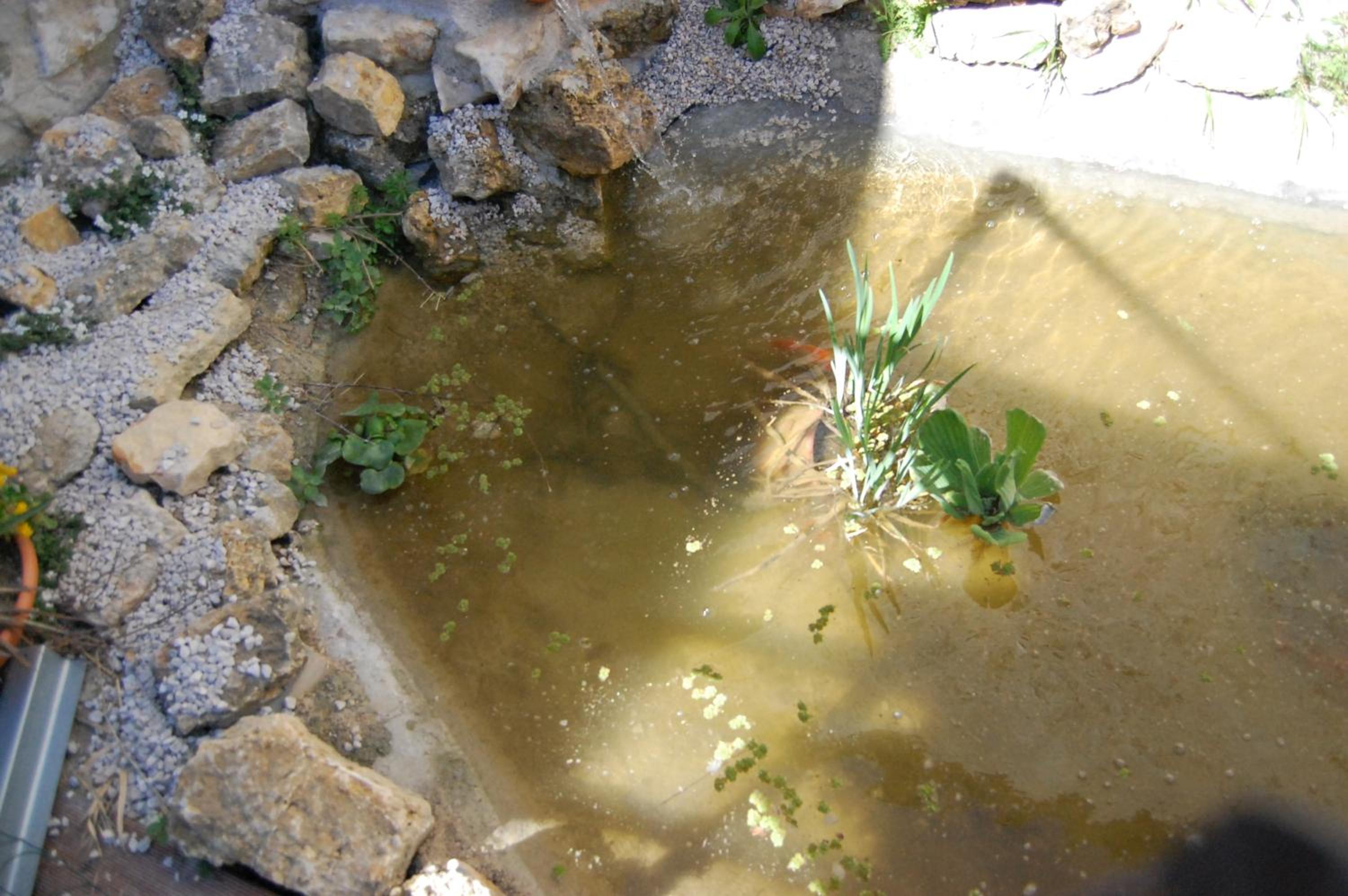 Le Paradis Caché