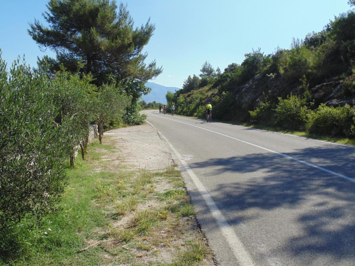 Photo 41