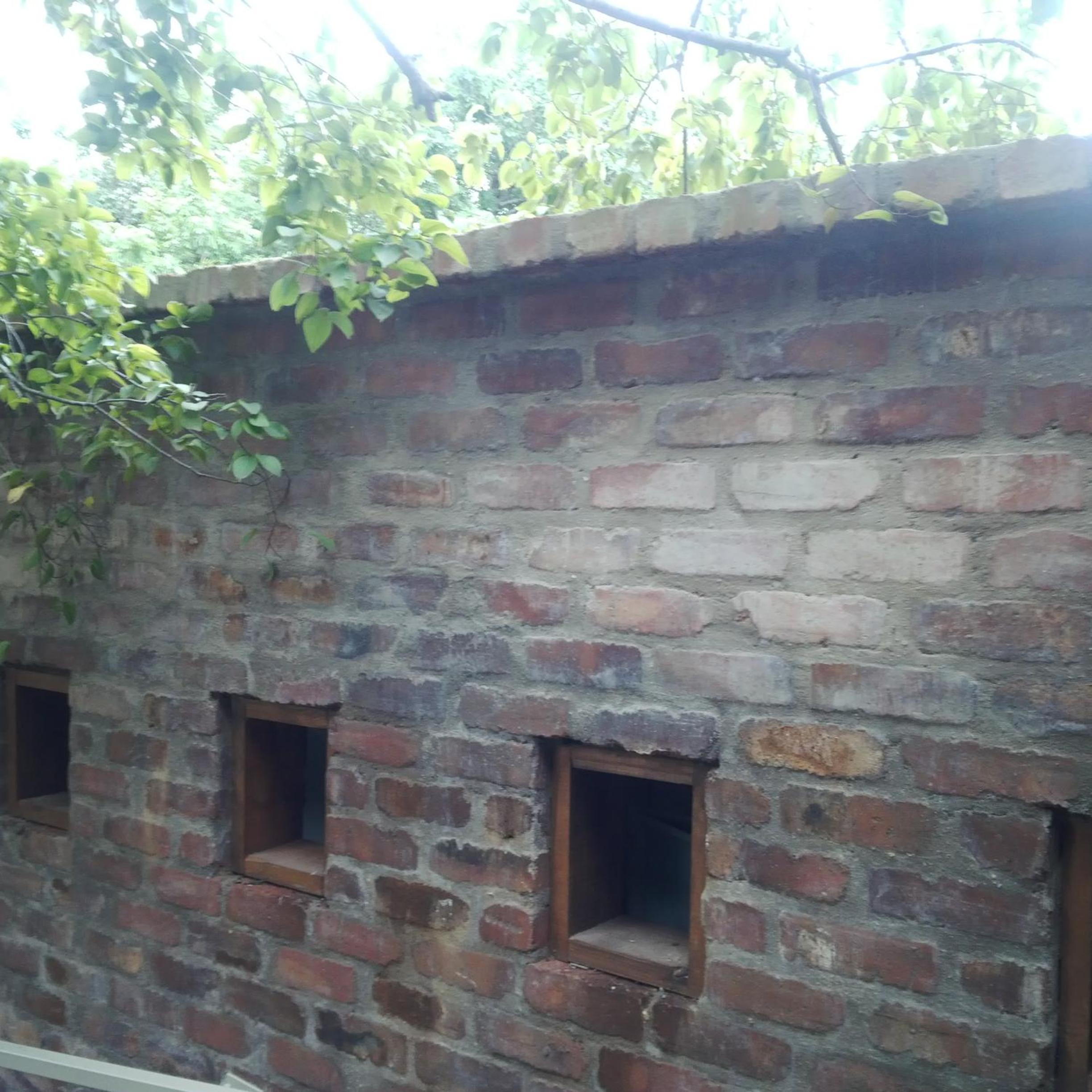 Zebrina Guest House