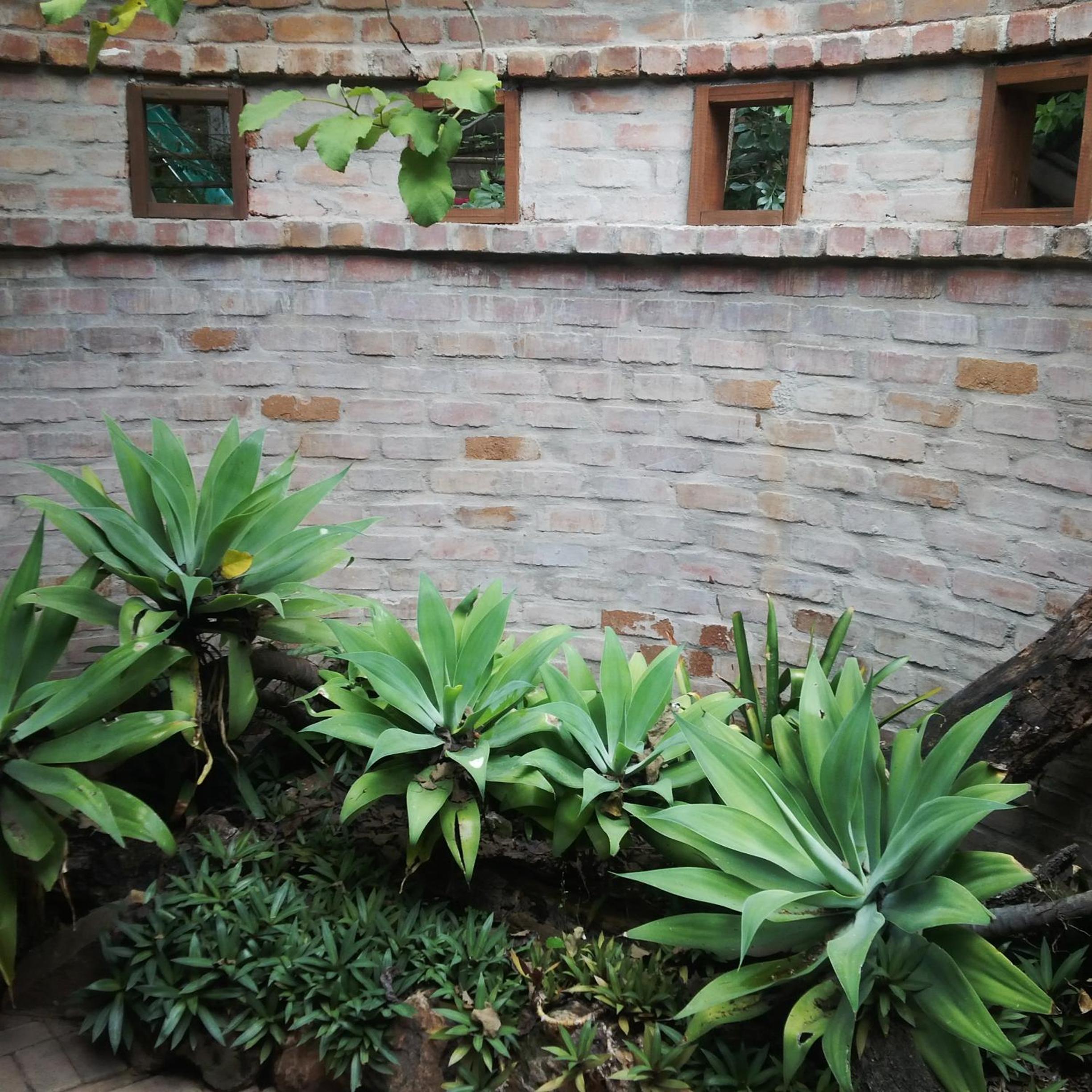 Zebrina Guest House