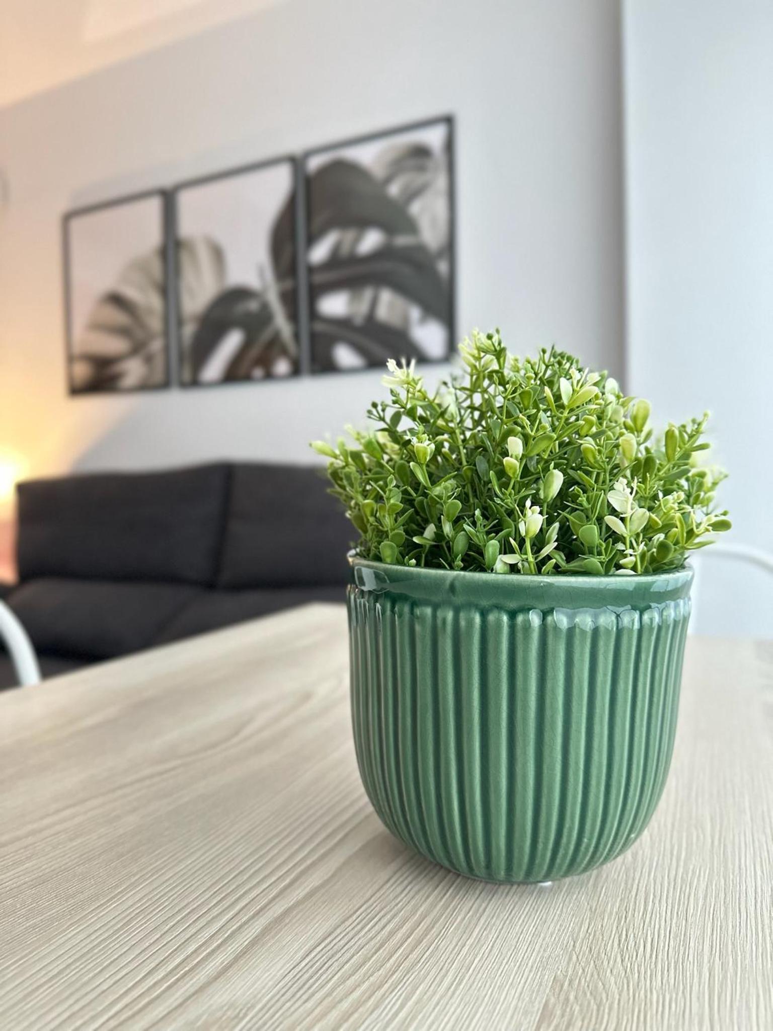 Apartamentos Vernia 3-9