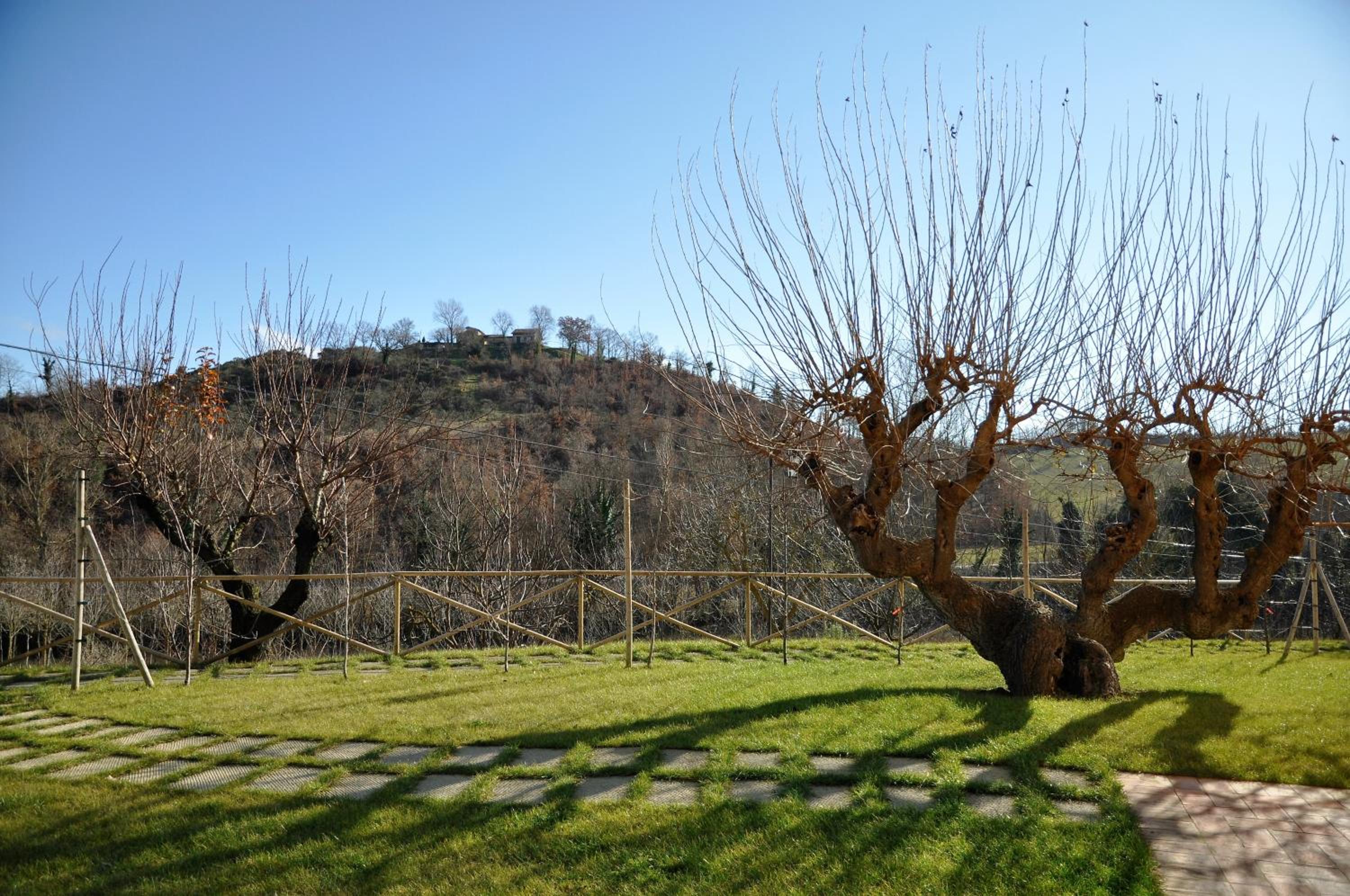 Agriturismo I Gelsi di Santa Cristina