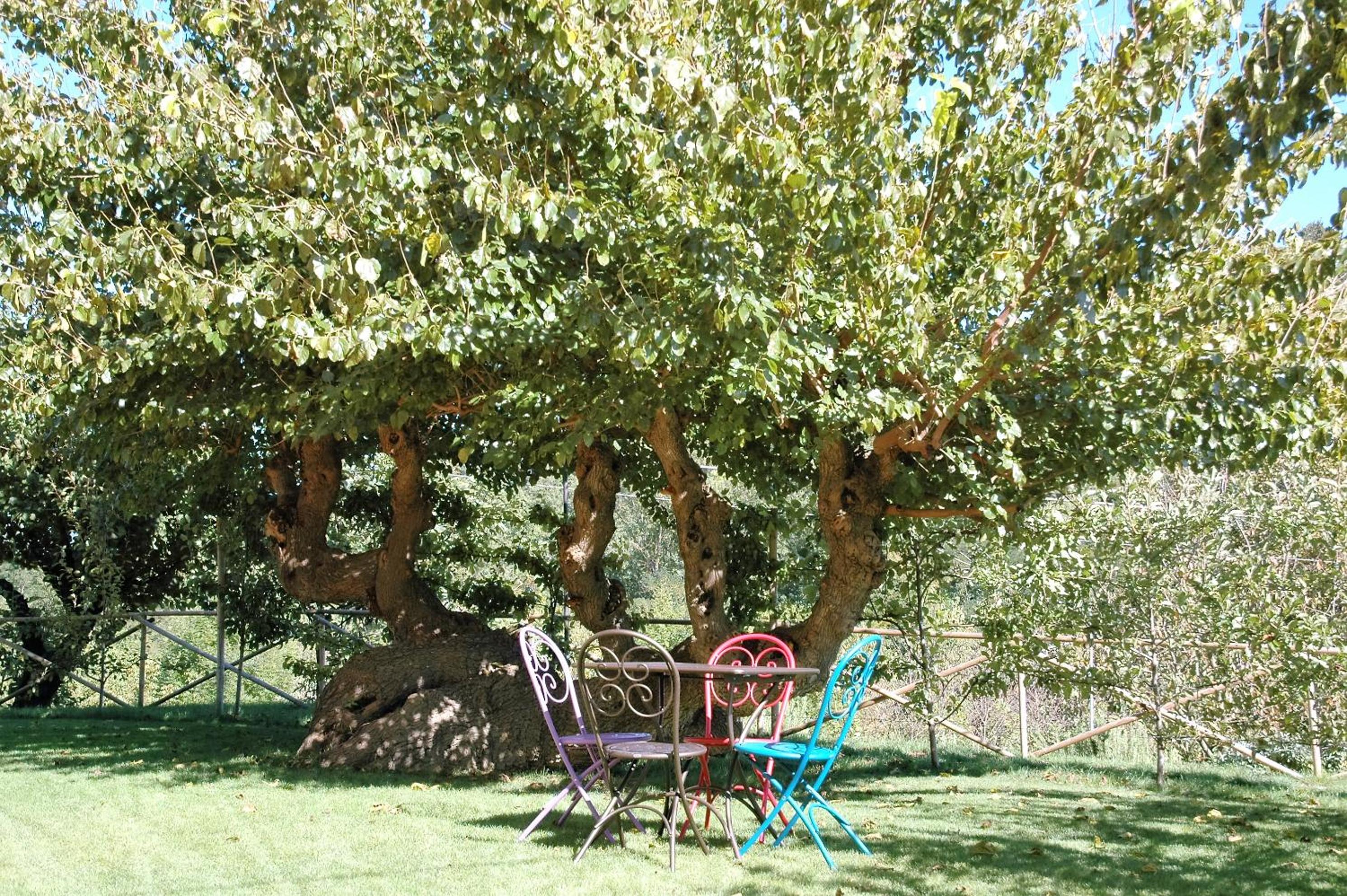 Agriturismo I Gelsi di Santa Cristina