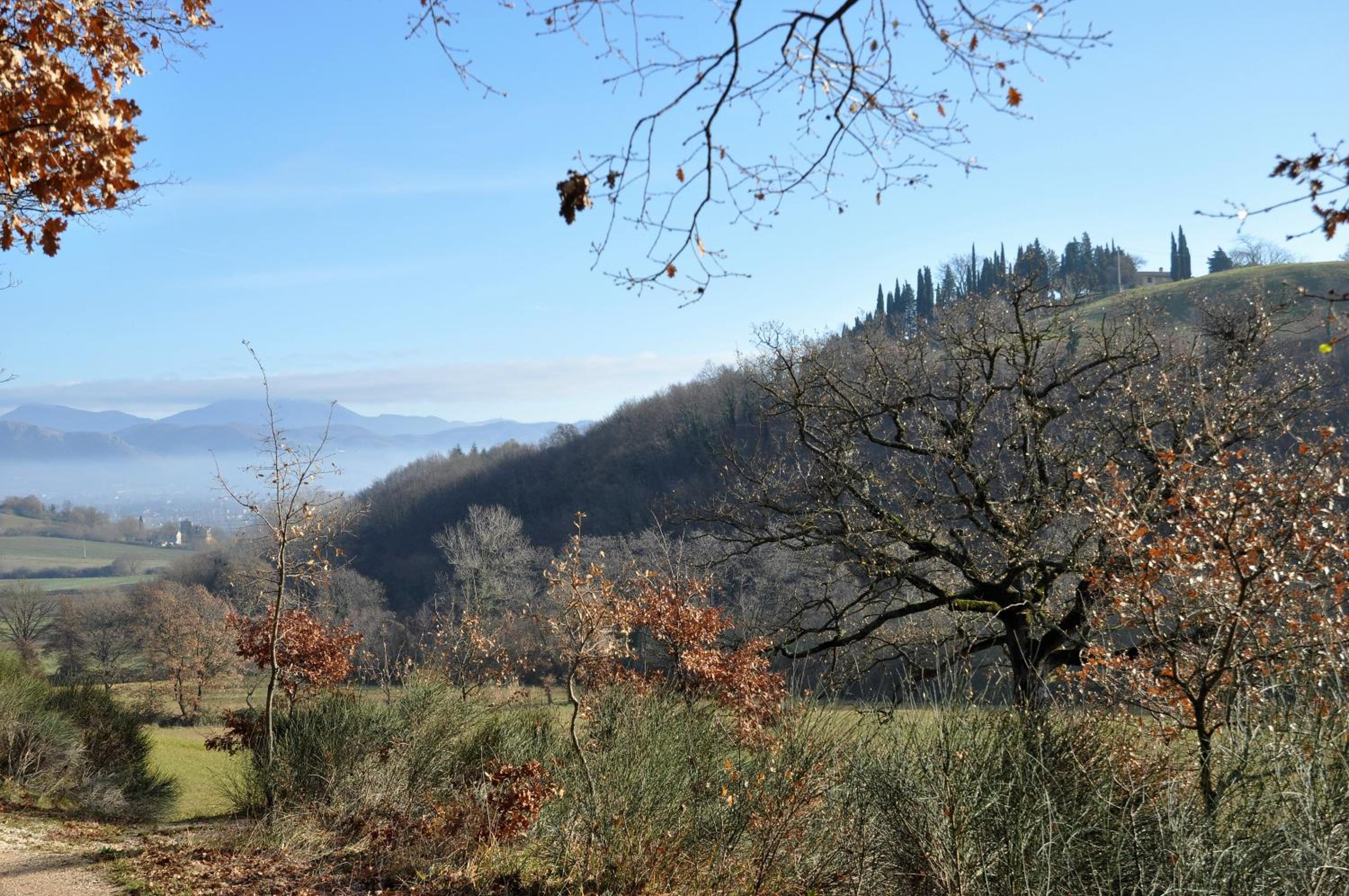 Agriturismo I Gelsi di Santa Cristina
