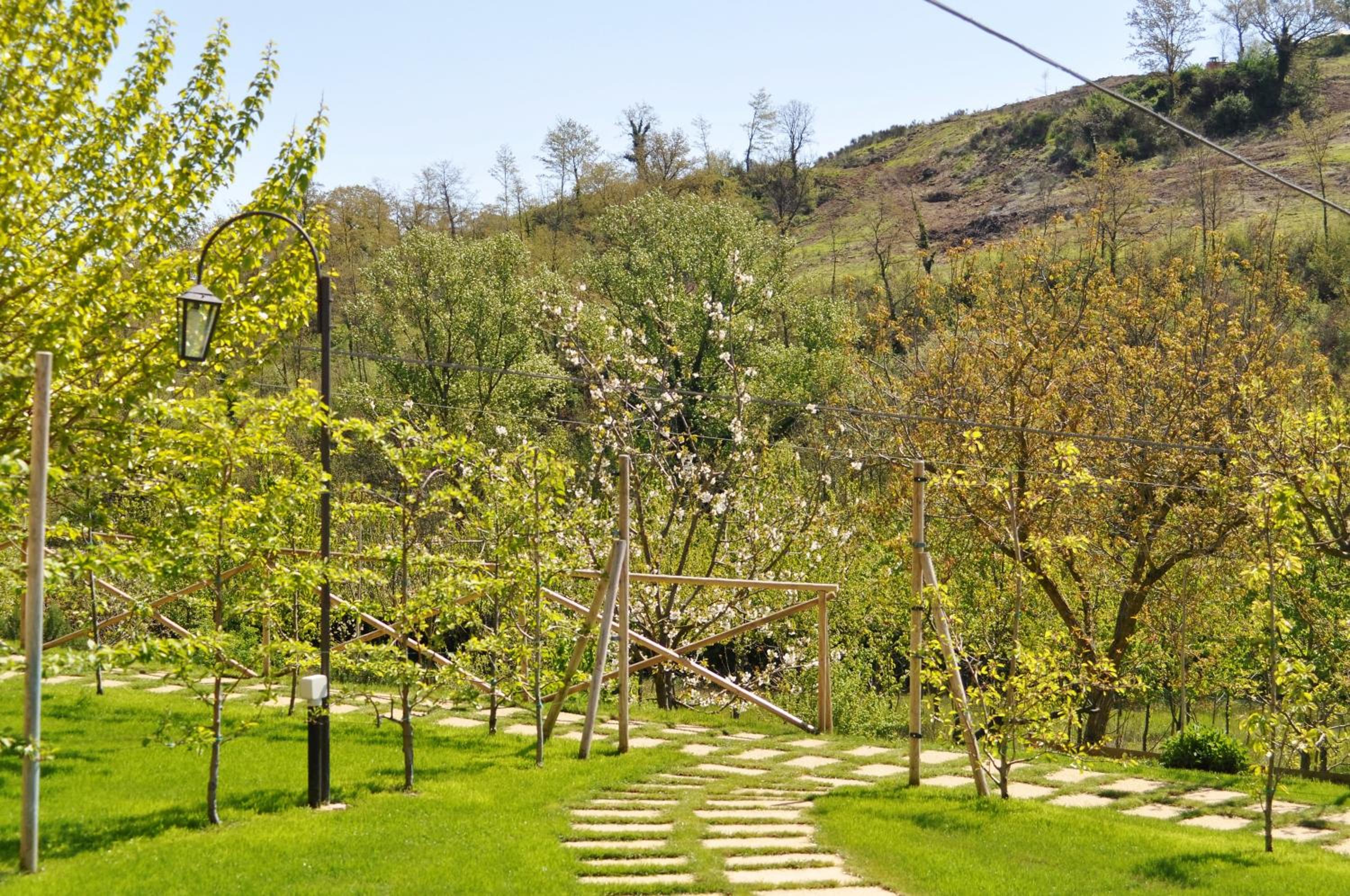 Agriturismo I Gelsi di Santa Cristina