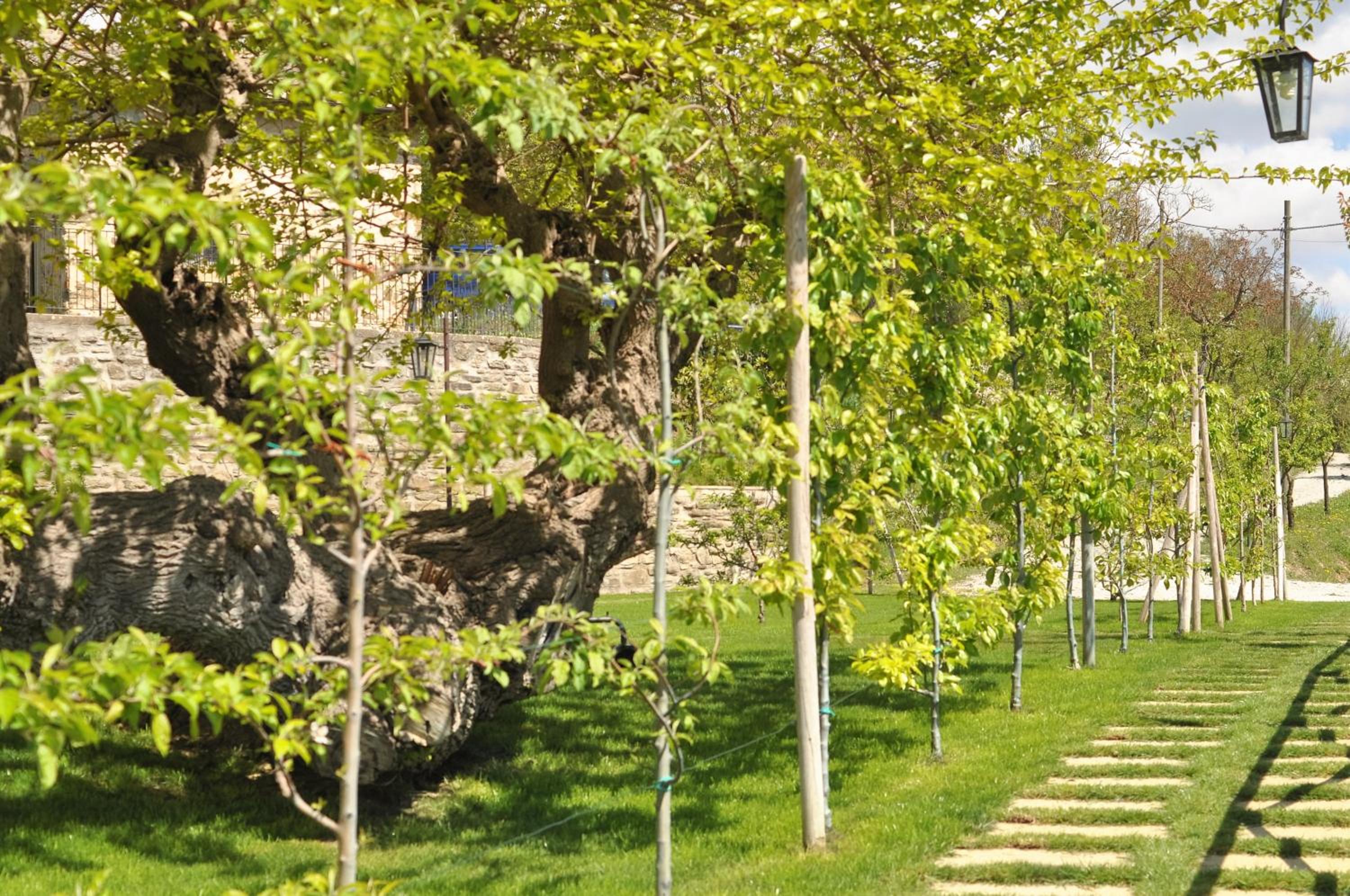 Agriturismo I Gelsi di Santa Cristina