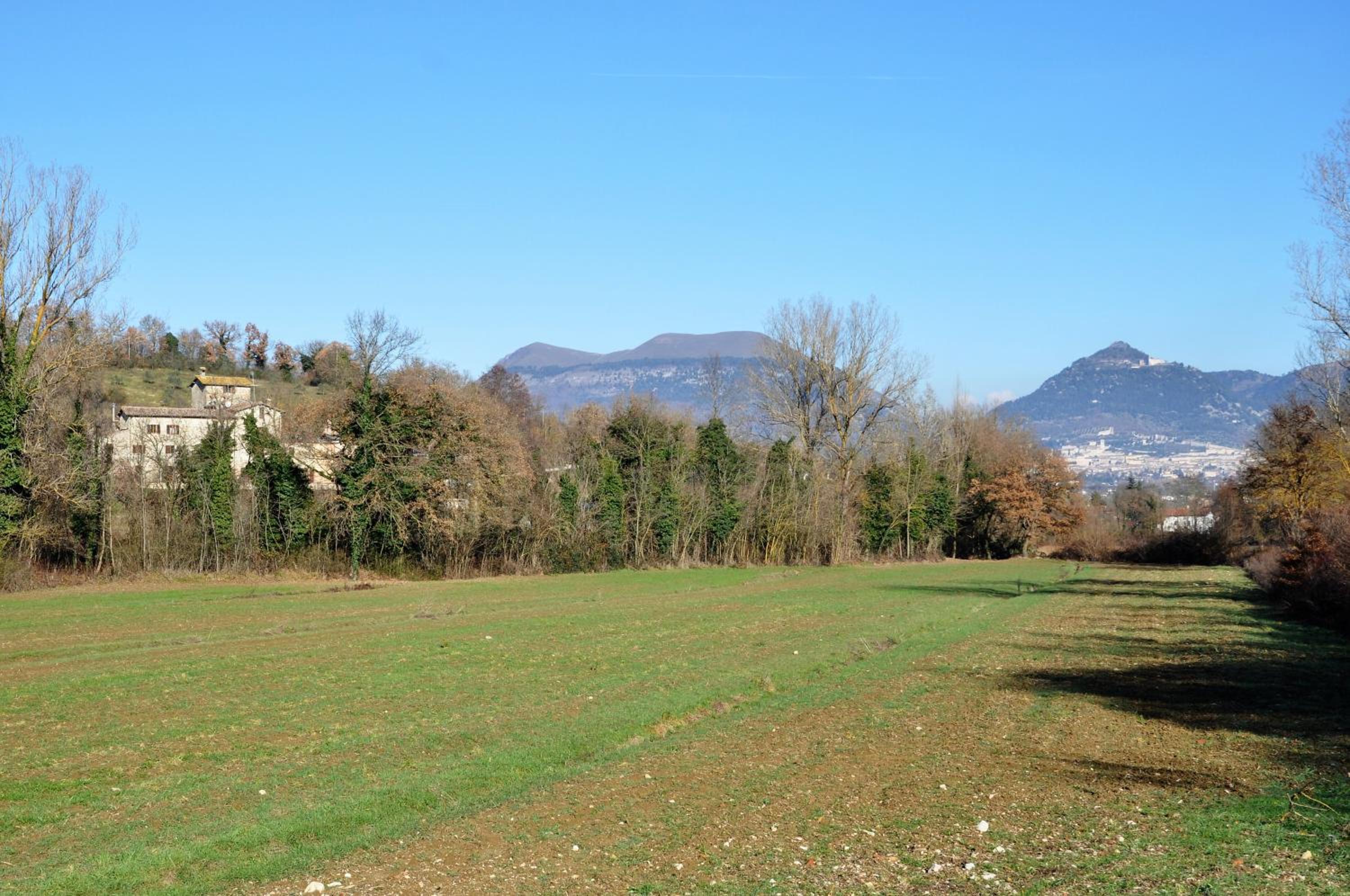 Agriturismo I Gelsi di Santa Cristina