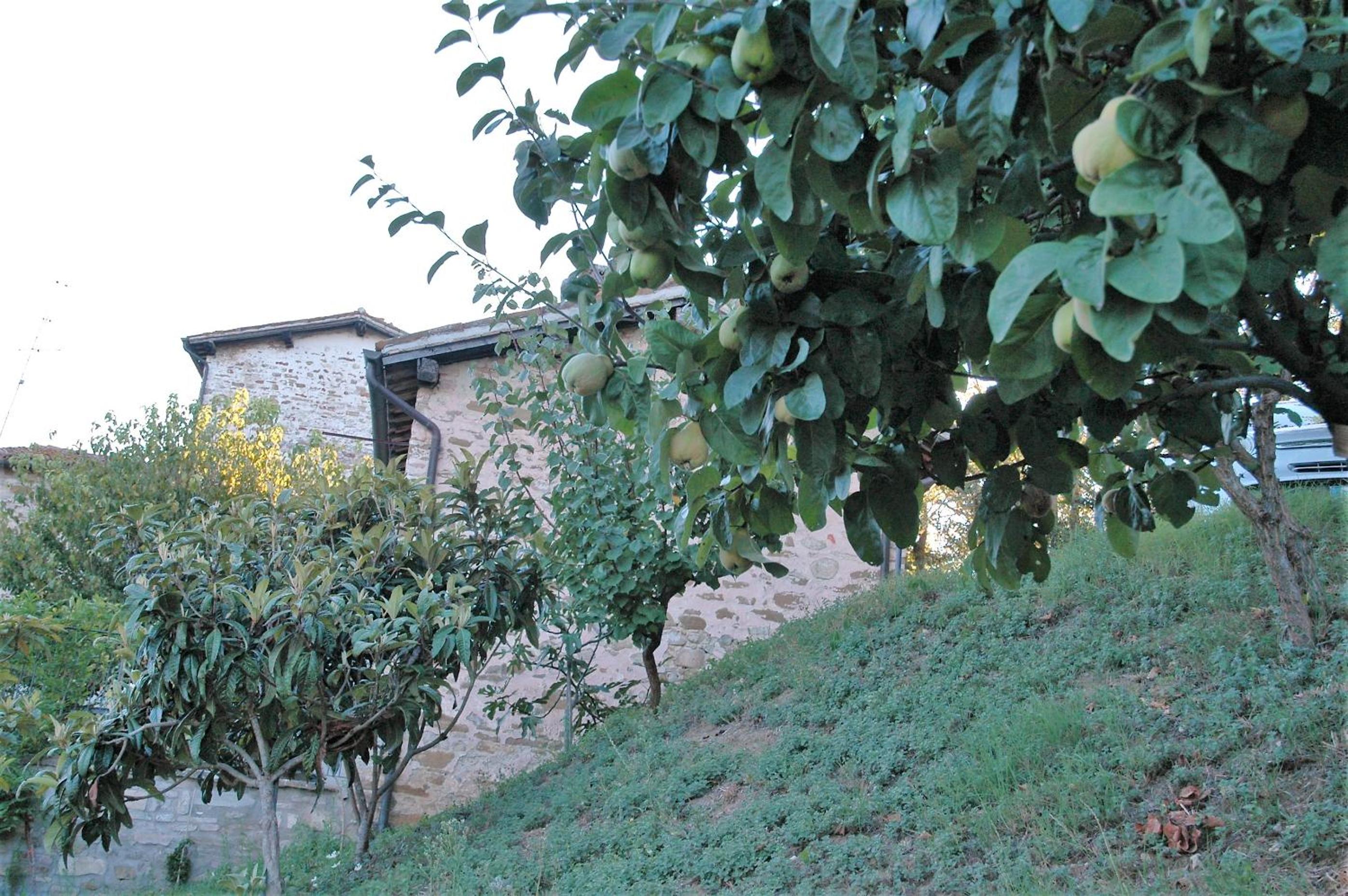 Agriturismo I Gelsi di Santa Cristina