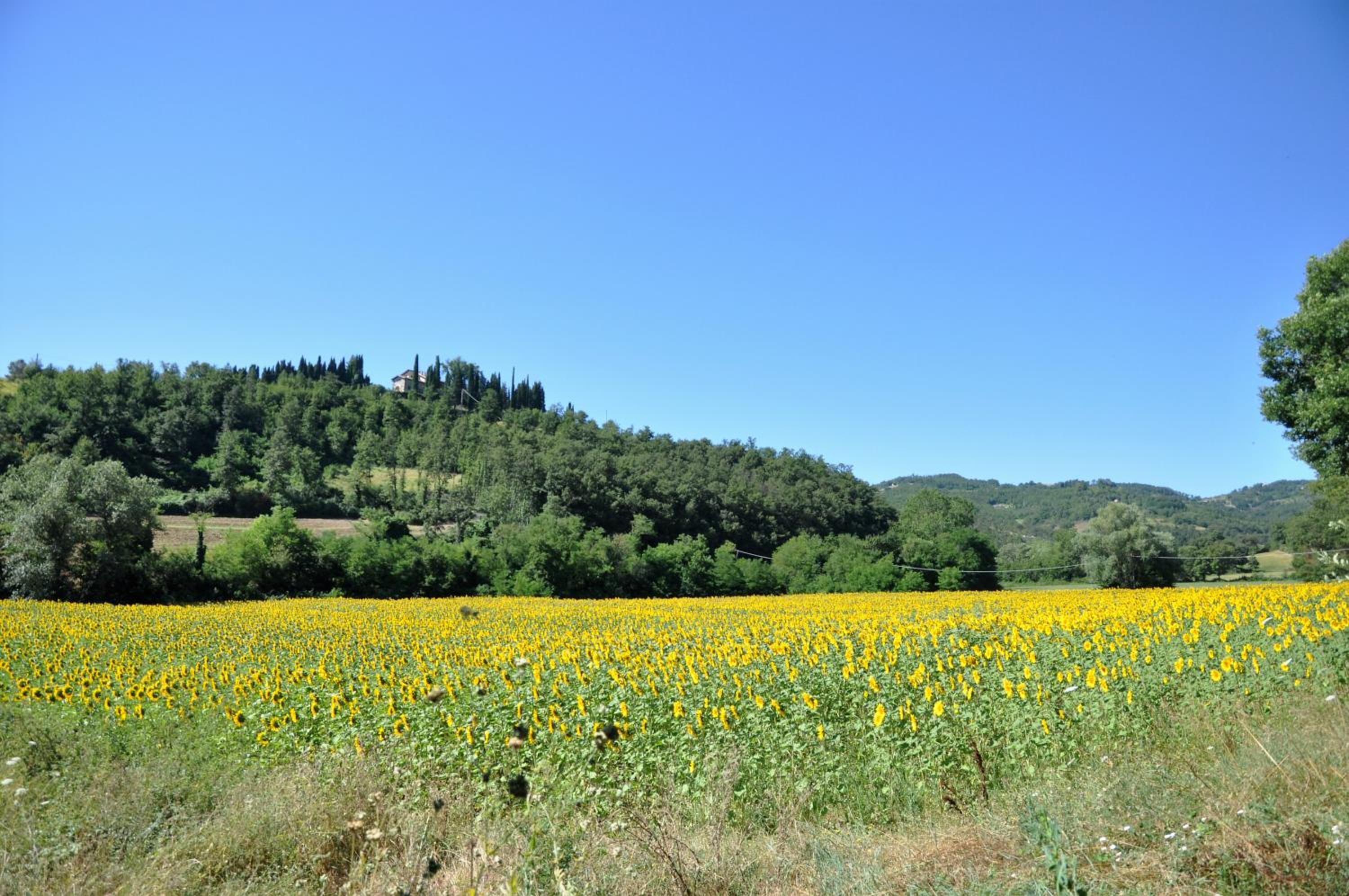 Agriturismo I Gelsi di Santa Cristina