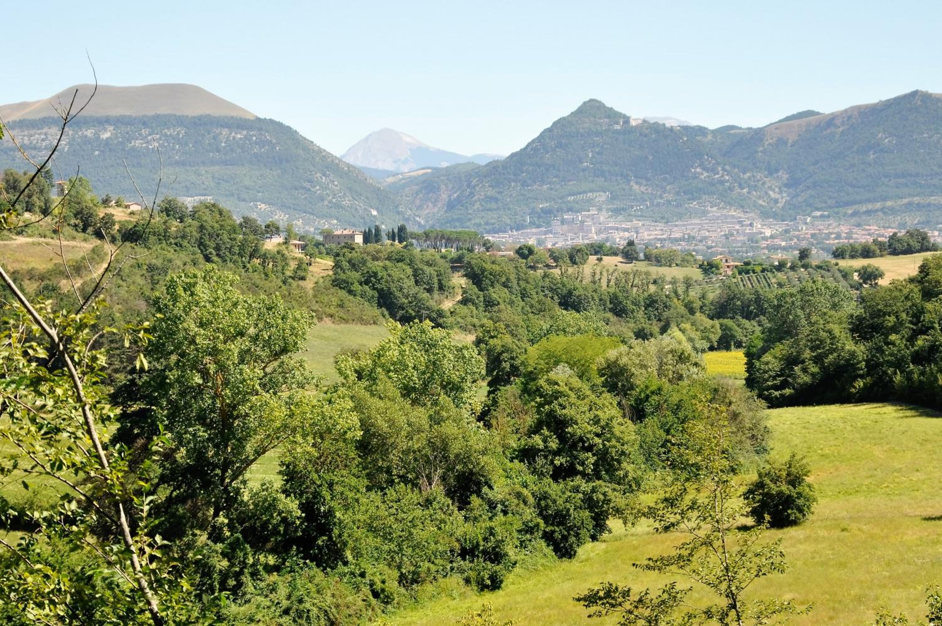 Agriturismo I Gelsi di Santa Cristina