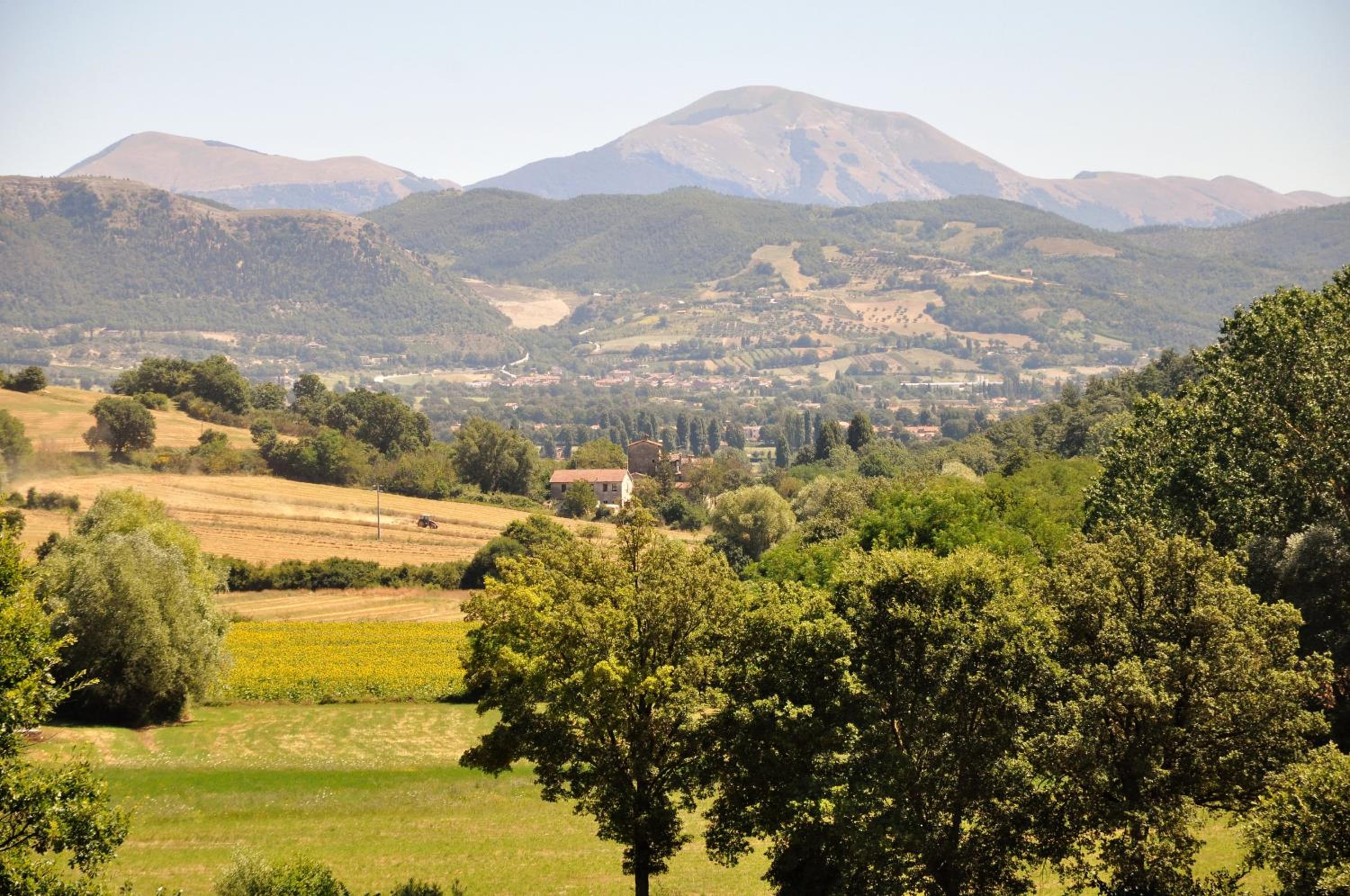 Agriturismo I Gelsi di Santa Cristina