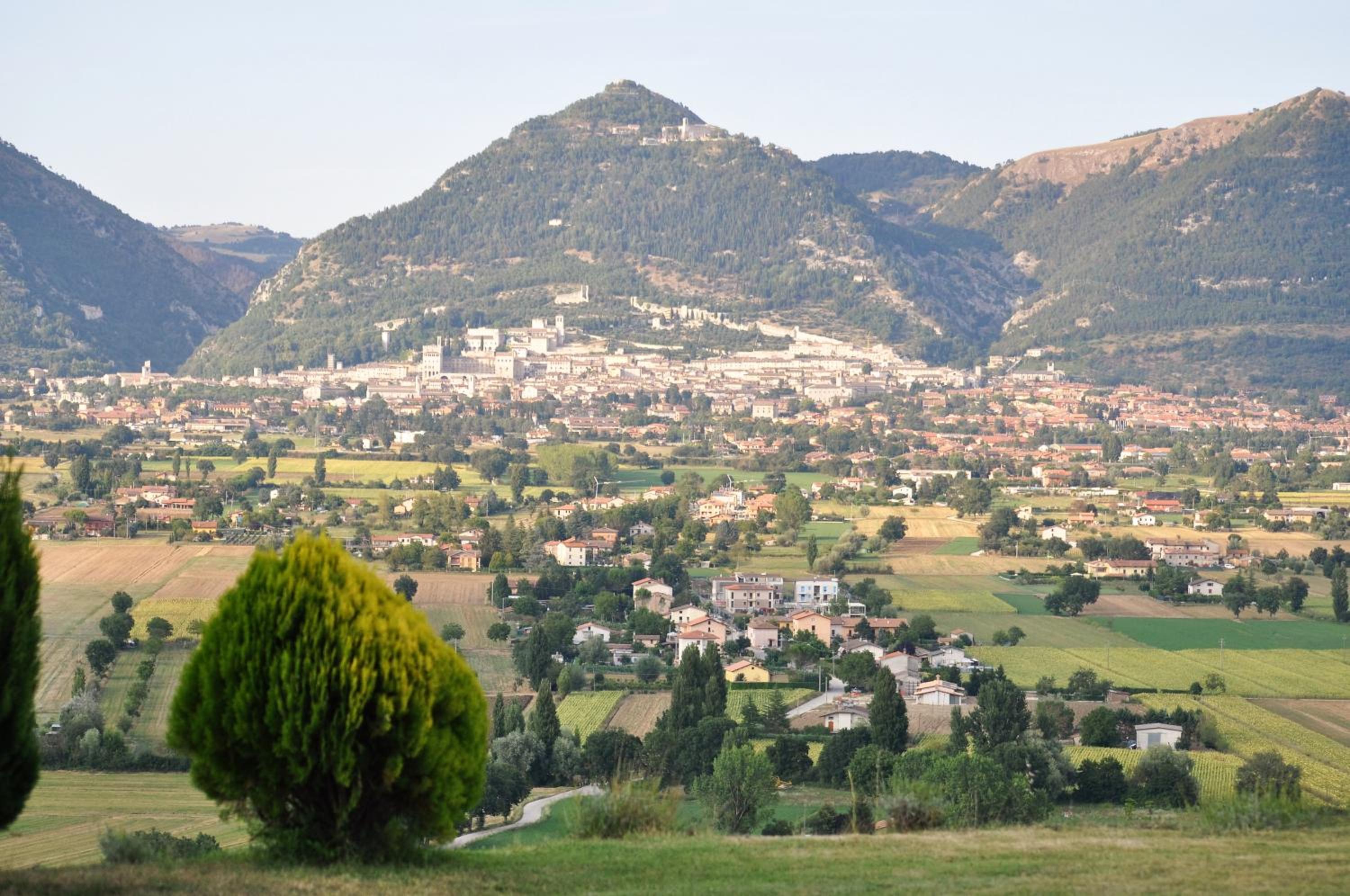 Agriturismo I Gelsi di Santa Cristina