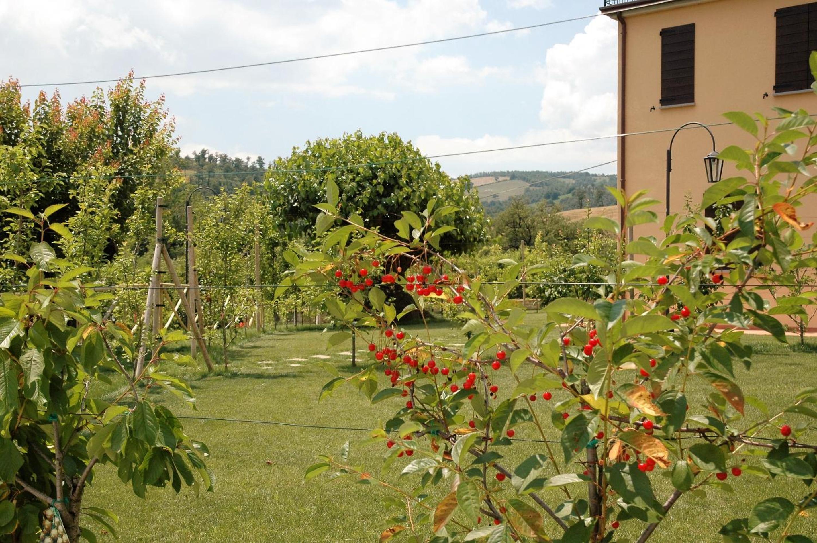 Agriturismo I Gelsi di Santa Cristina