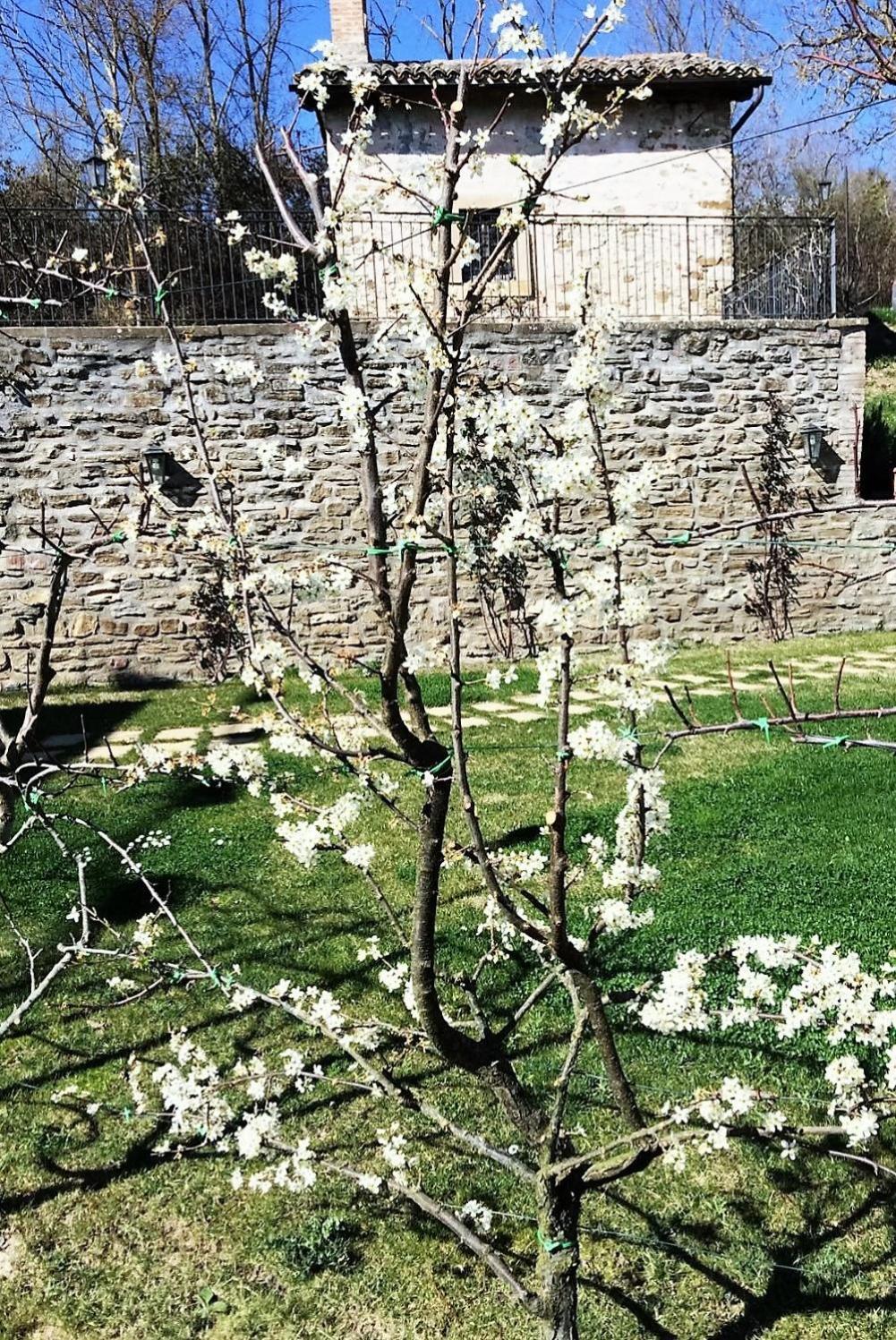 Agriturismo I Gelsi di Santa Cristina