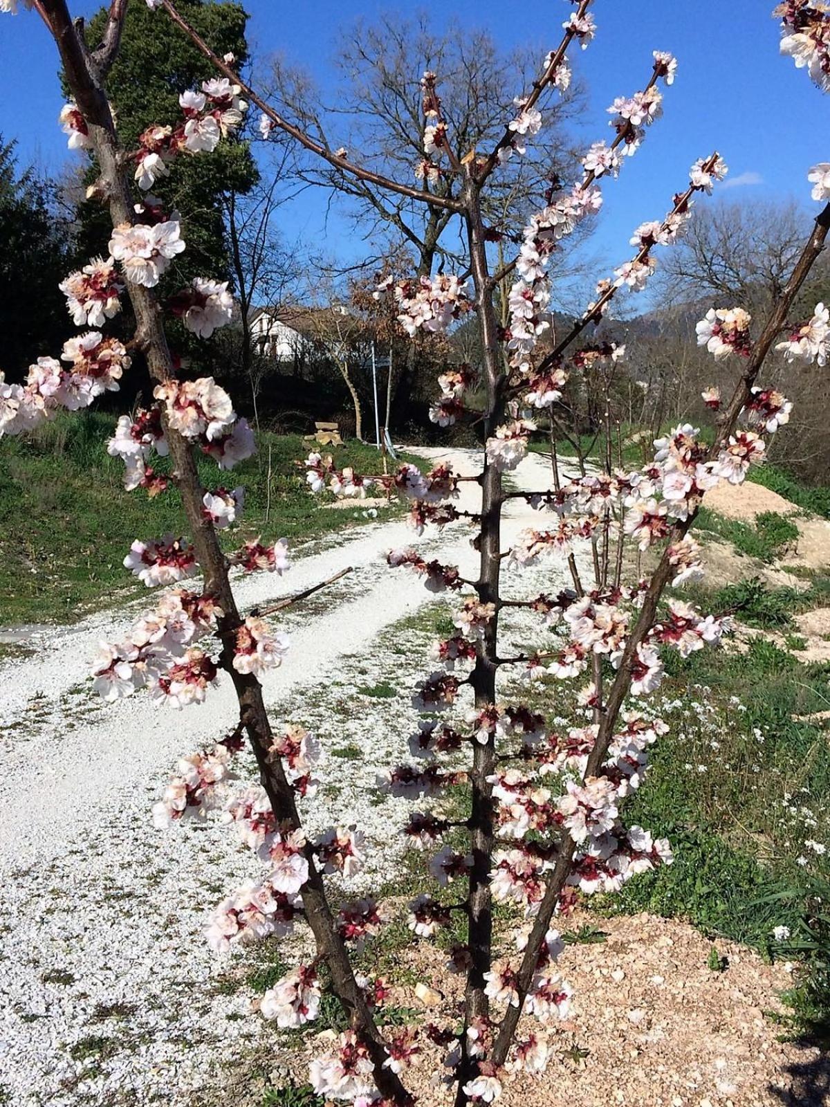 Agriturismo I Gelsi di Santa Cristina