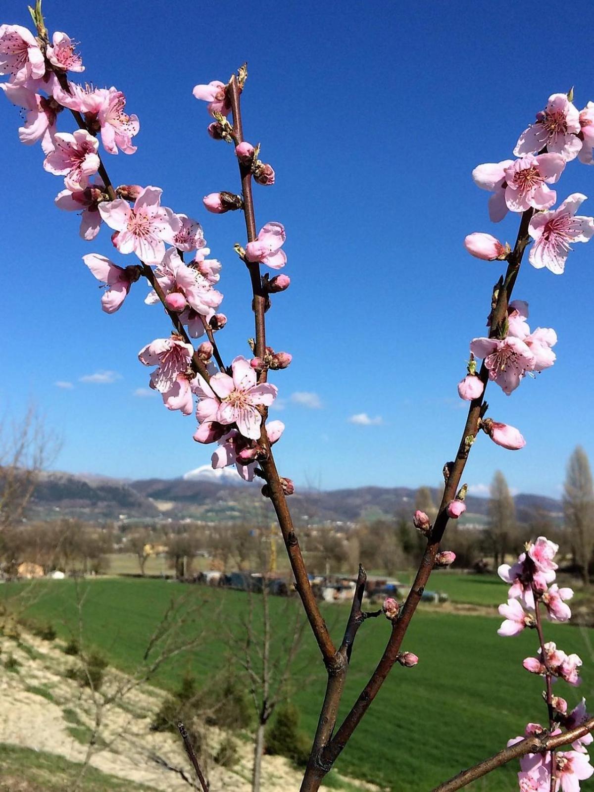 Agriturismo I Gelsi di Santa Cristina