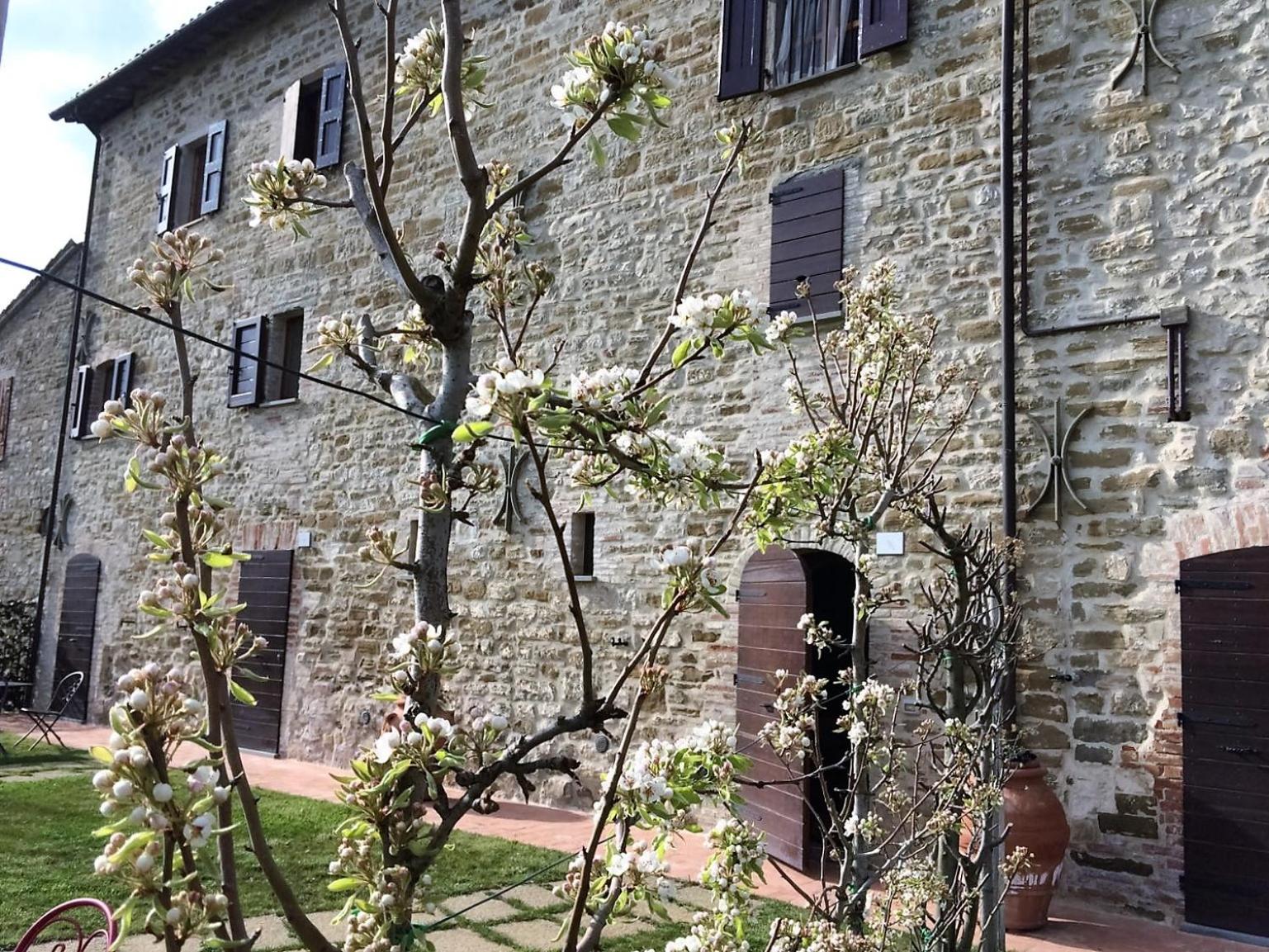 Agriturismo I Gelsi di Santa Cristina