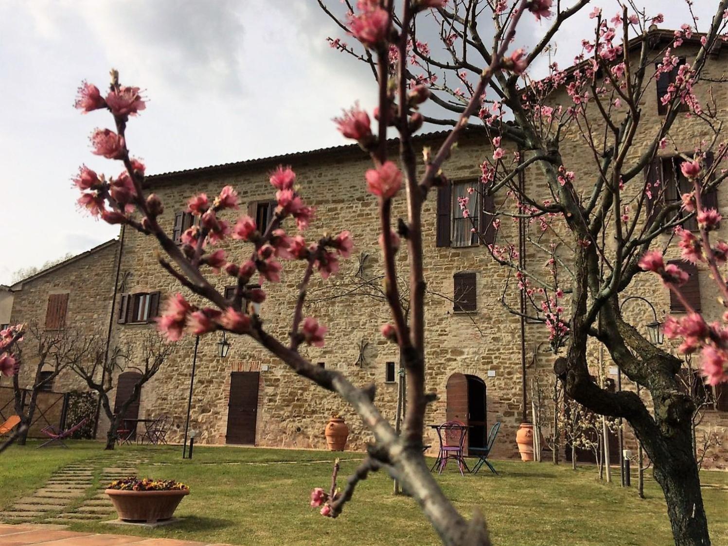 Agriturismo I Gelsi di Santa Cristina