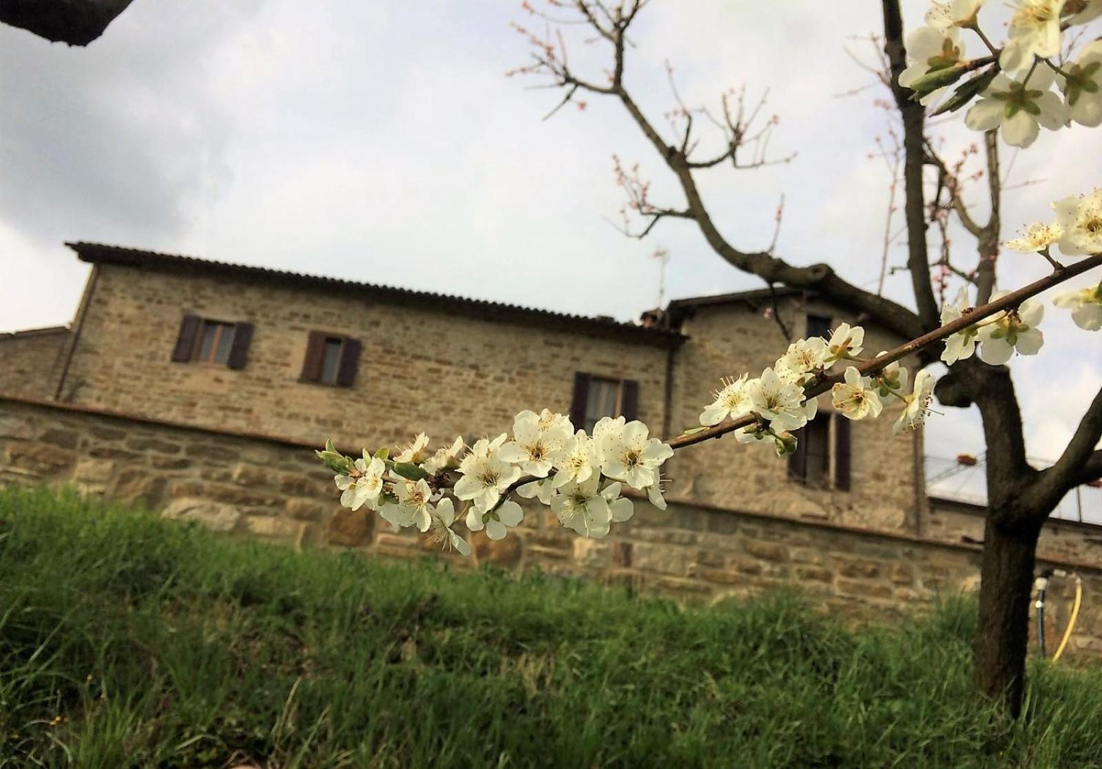 Agriturismo I Gelsi di Santa Cristina