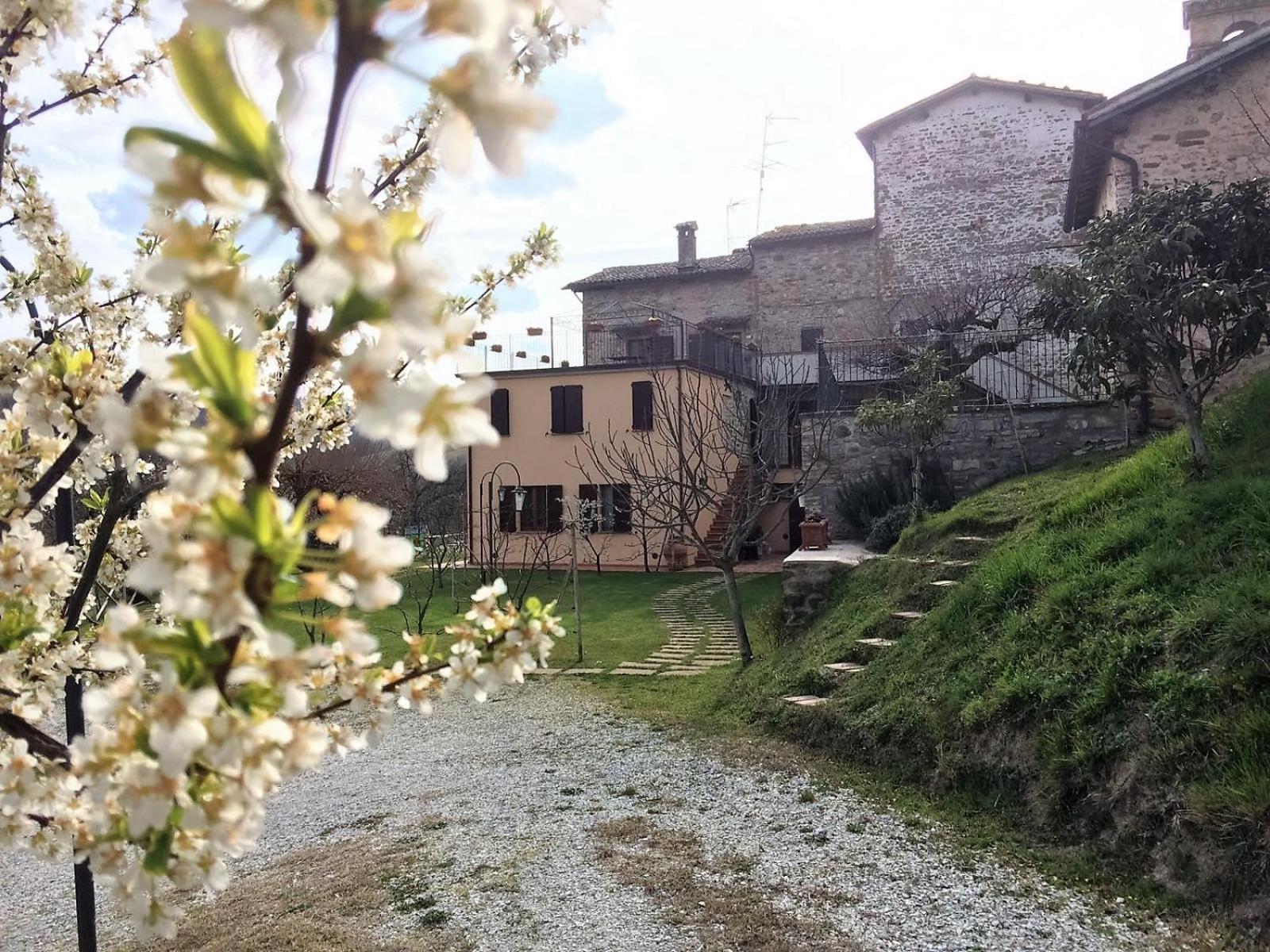 Agriturismo I Gelsi di Santa Cristina