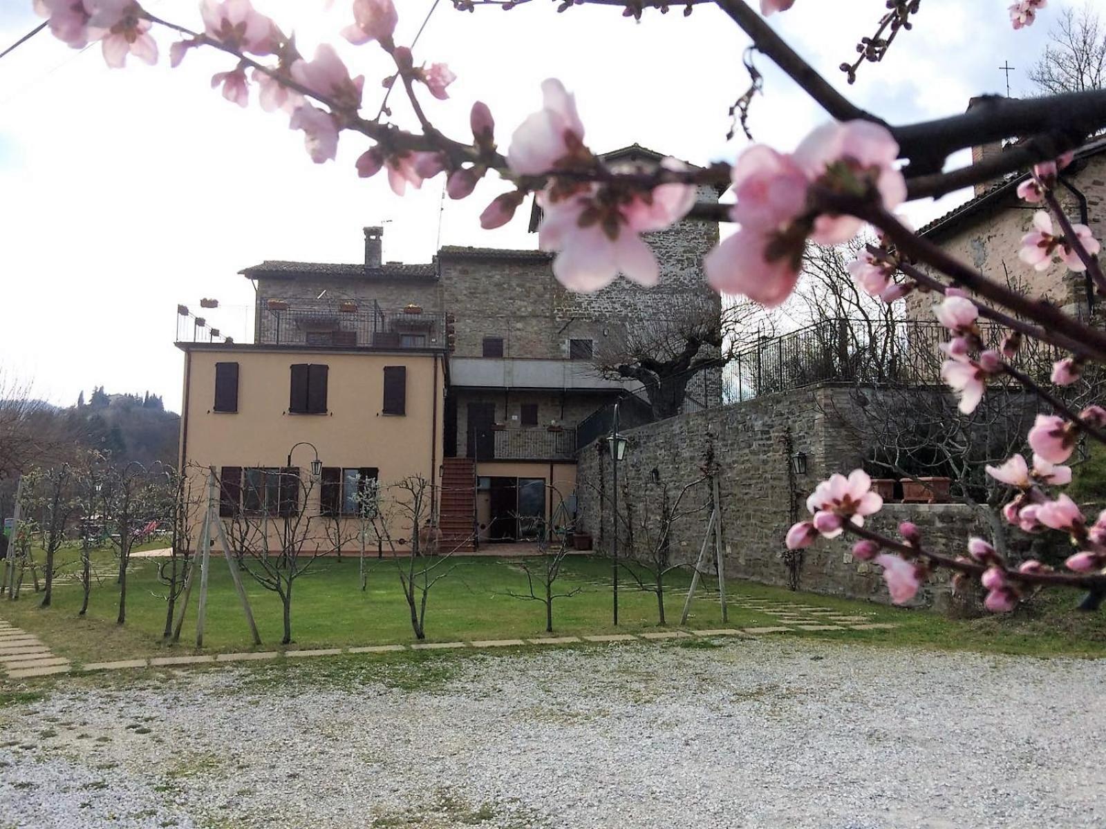 Agriturismo I Gelsi di Santa Cristina