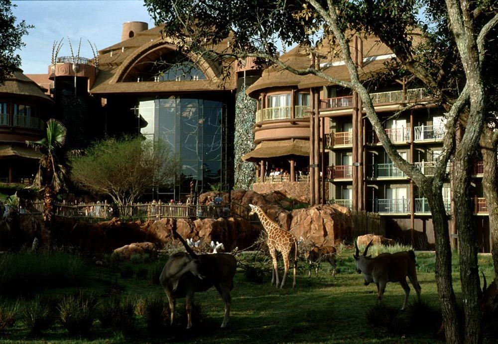 Disney's Animal Kingdom Villas - Kidani Village - Image 5